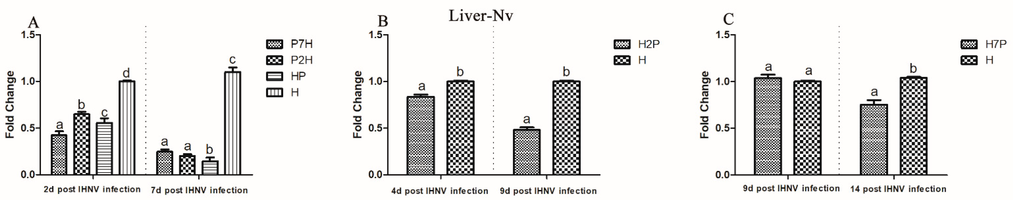 Viruses 14 01732 g006