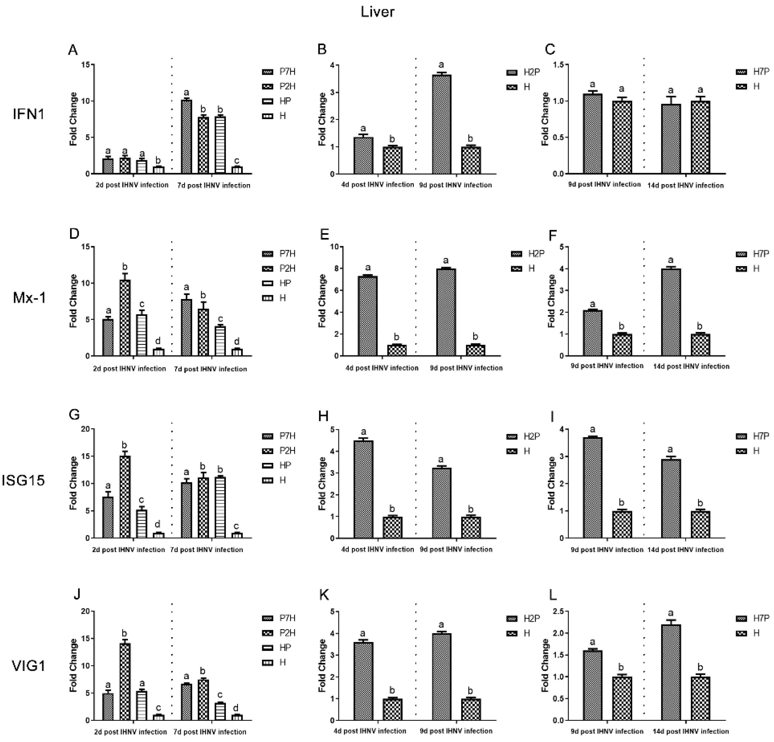 Viruses 14 01732 g009