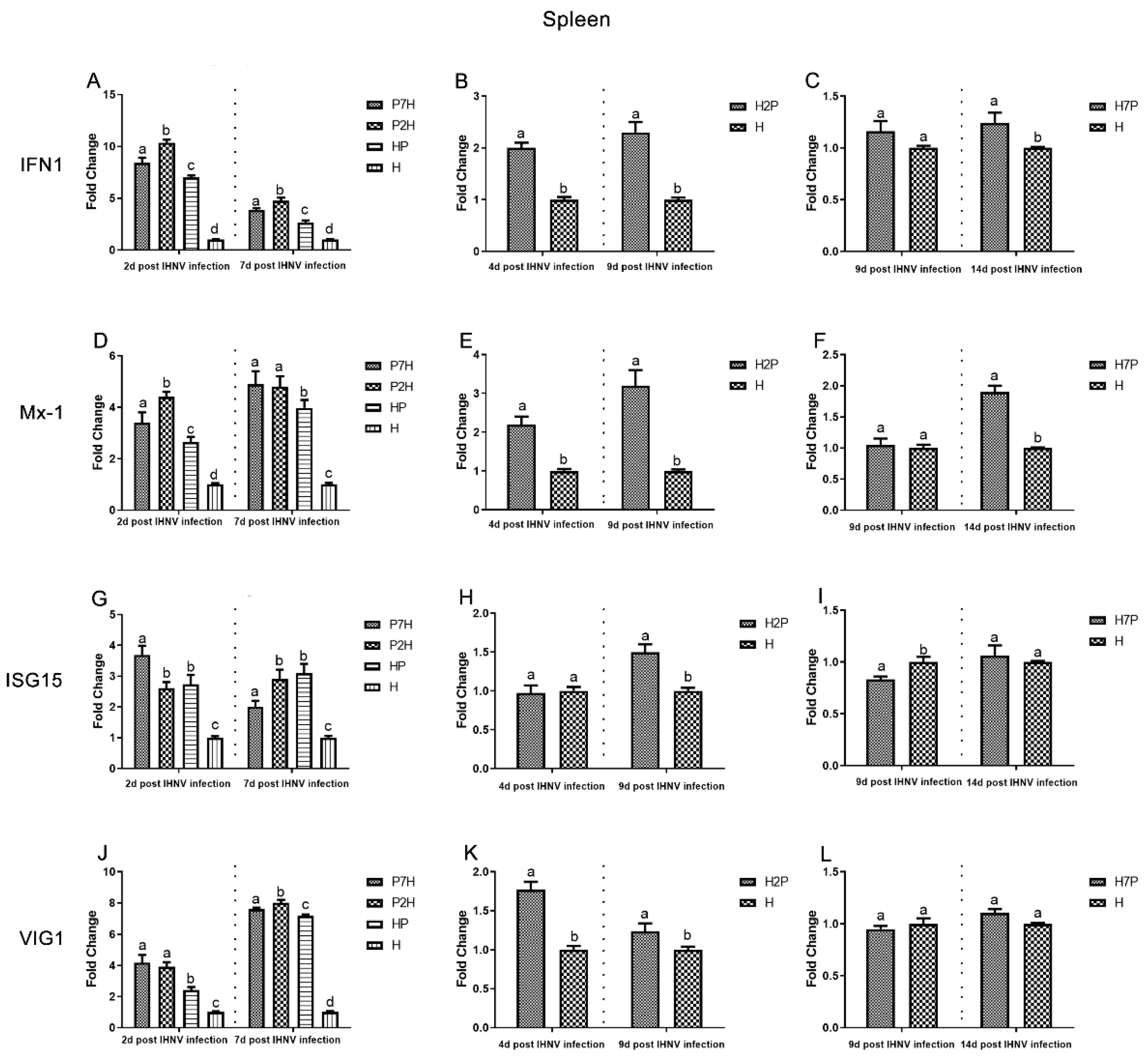 Viruses 14 01732 g010
