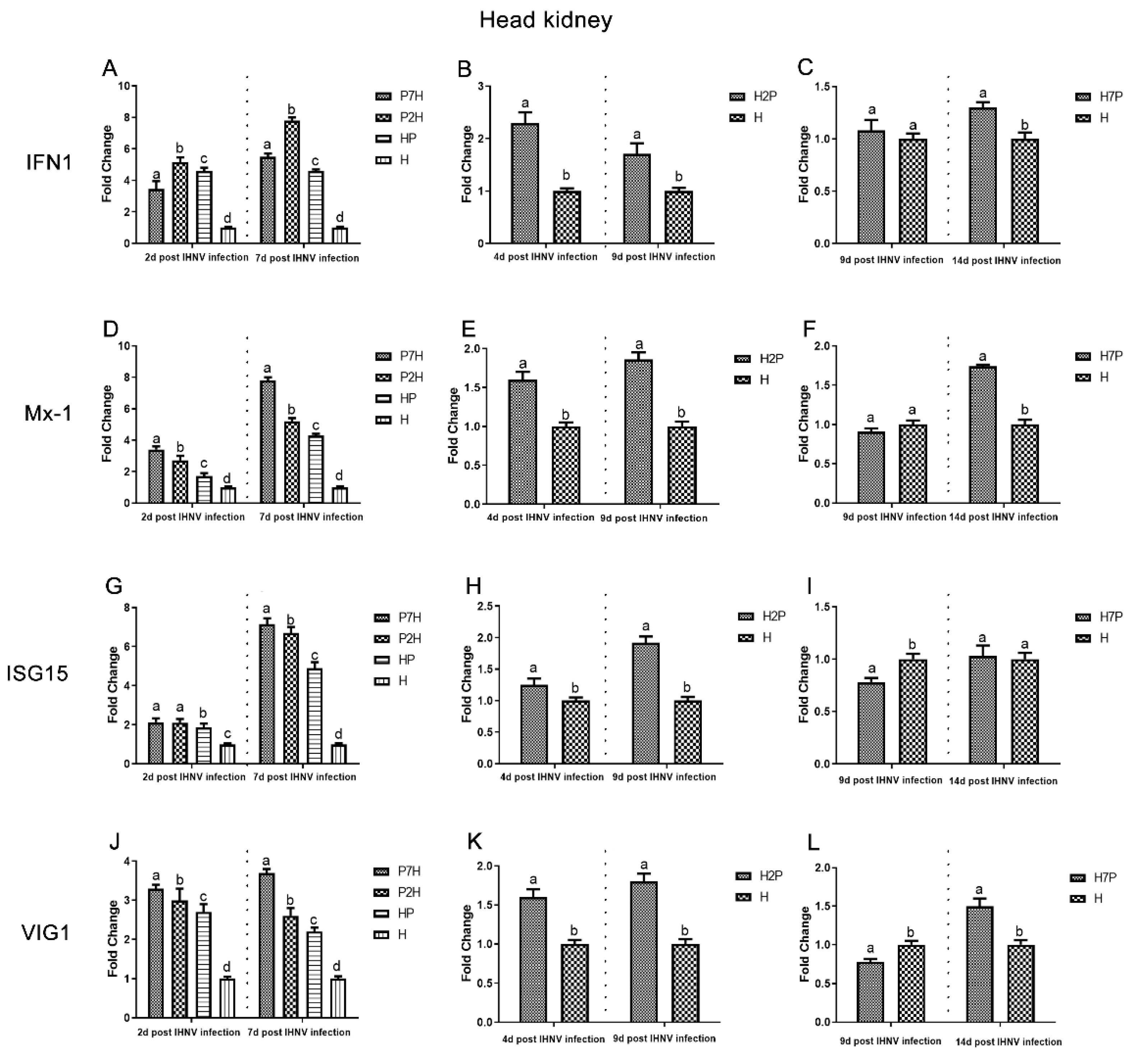 Viruses 14 01732 g011