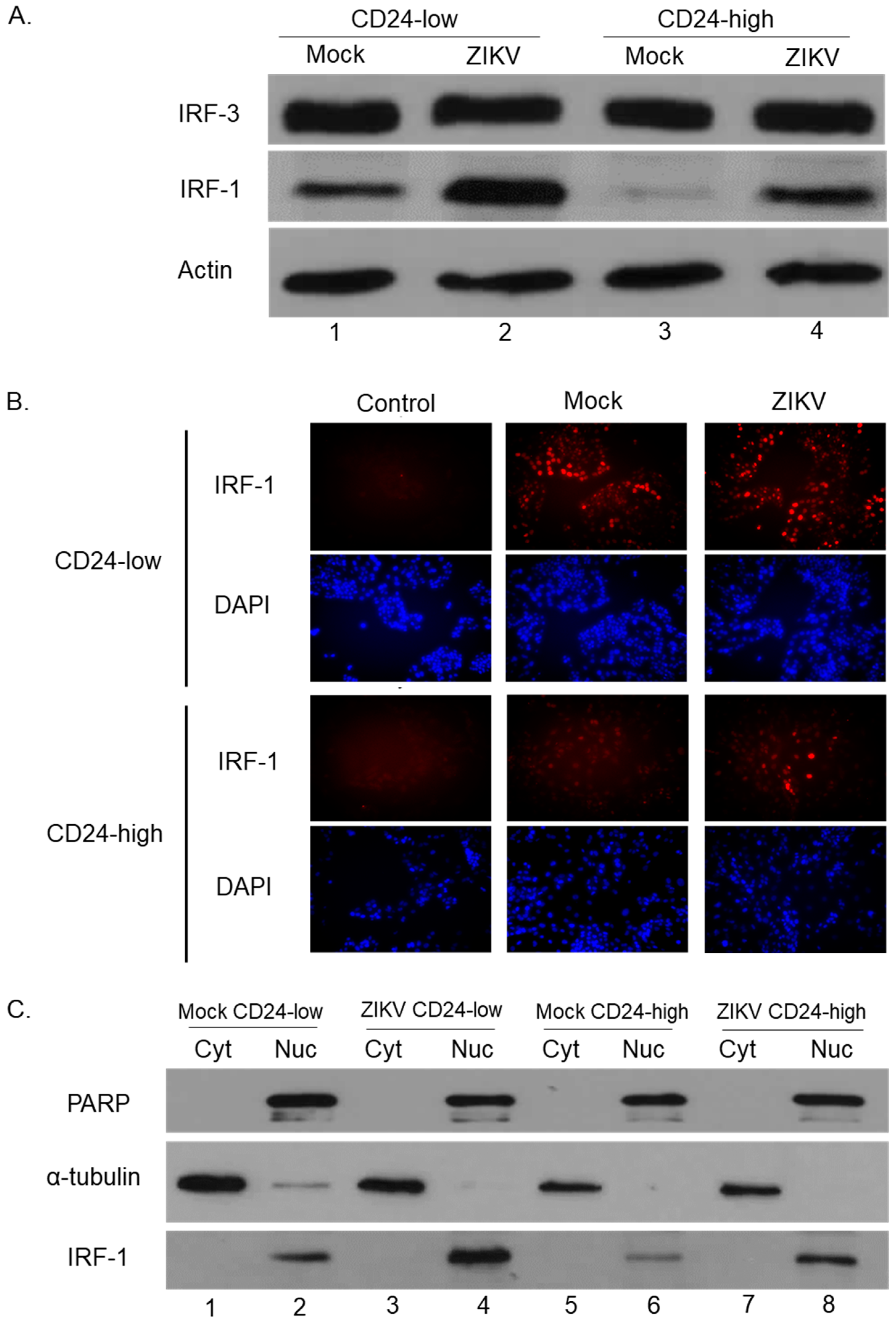Viruses 14 01735 g005