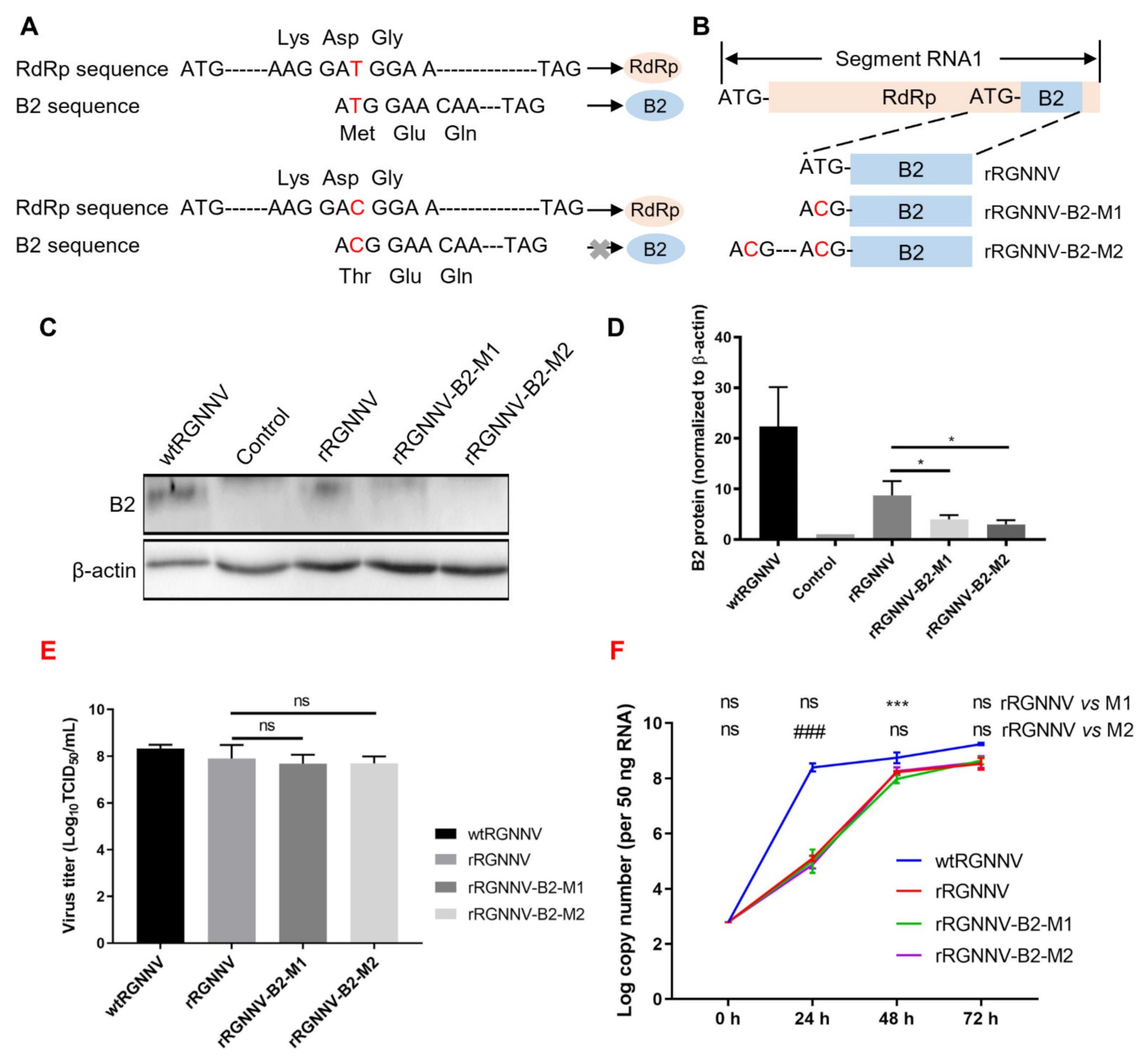Viruses 14 01737 g002