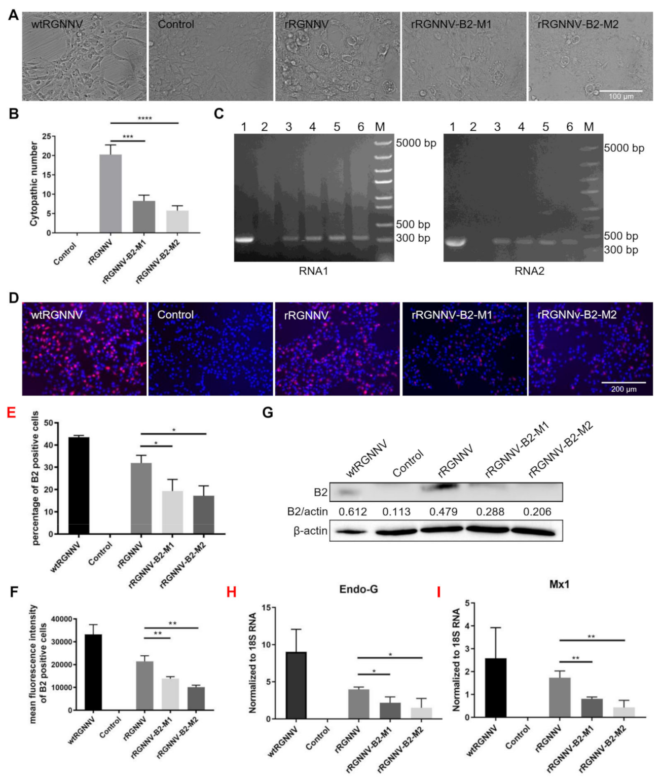 Viruses 14 01737 g003