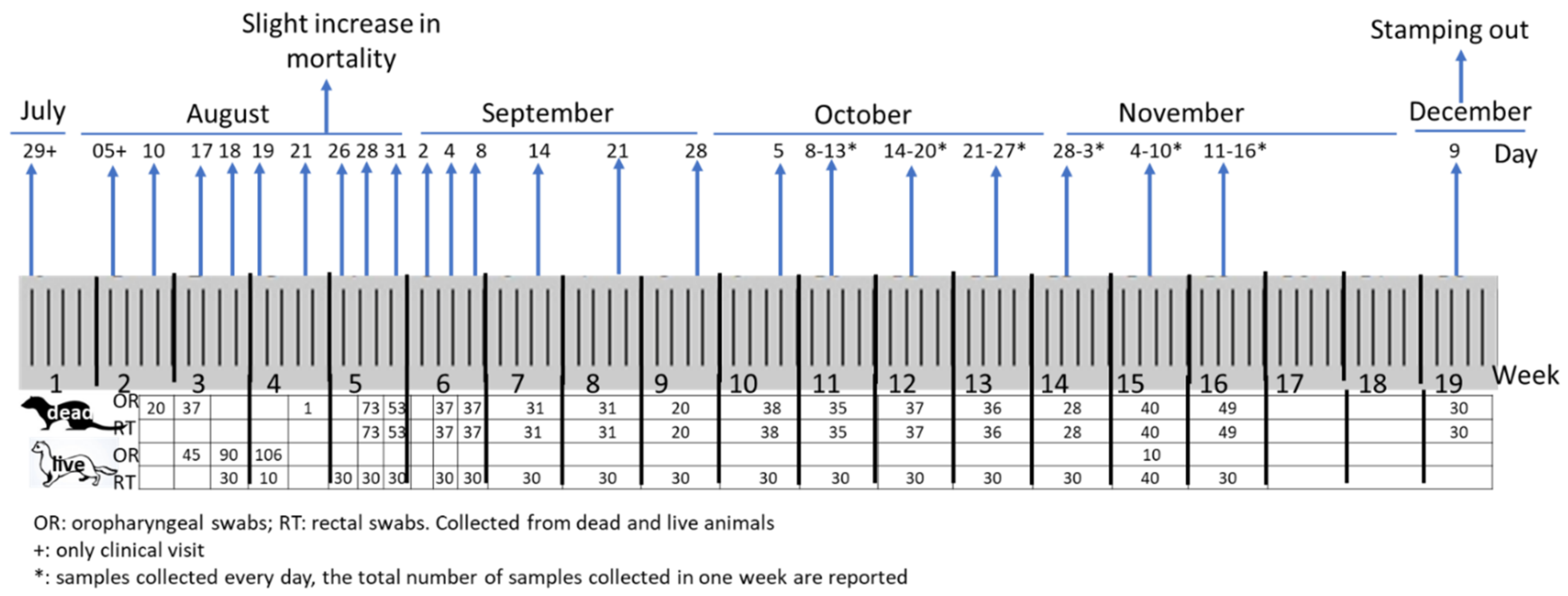 Viruses 14 01738 g001
