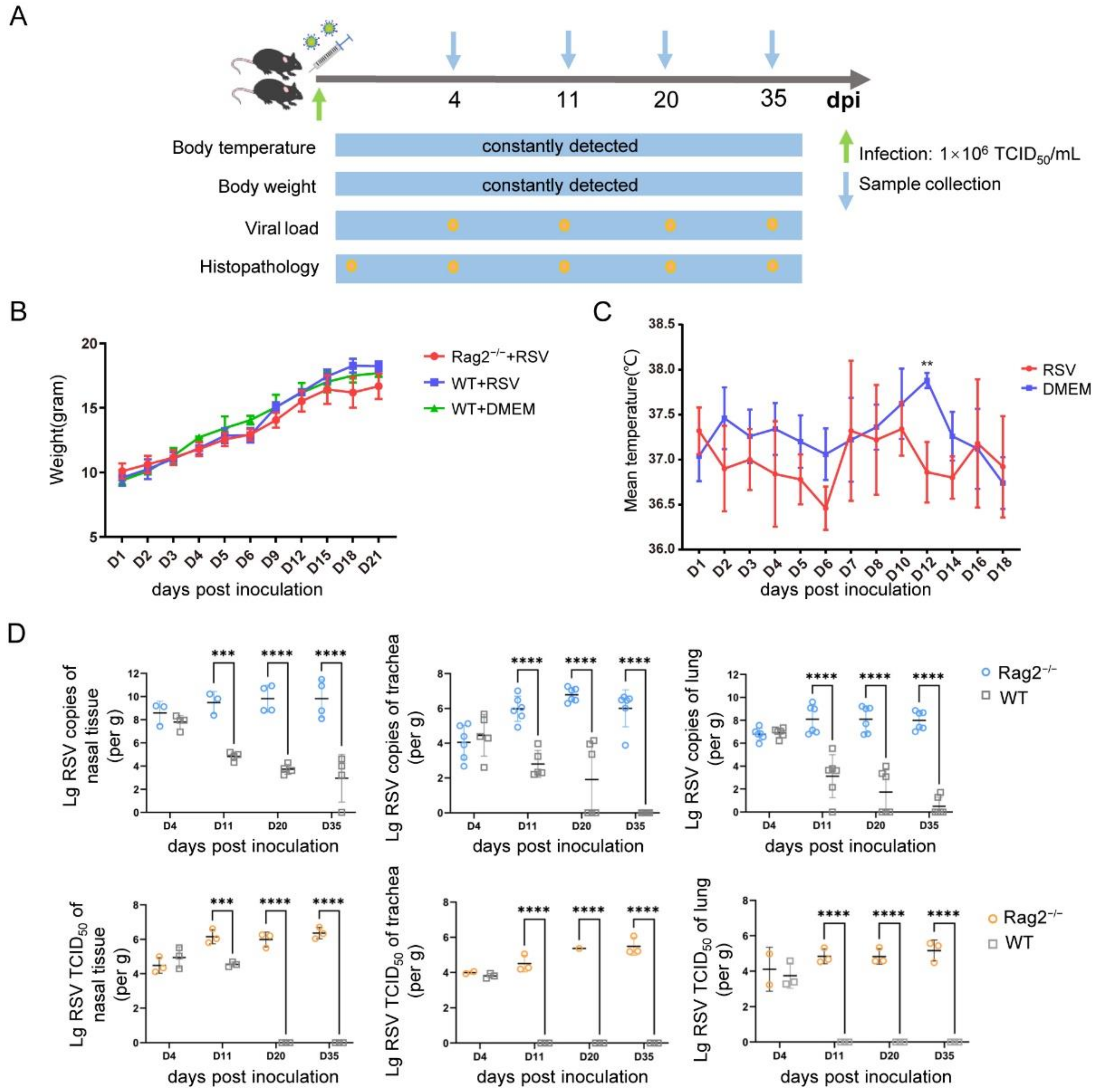 Viruses 14 01740 g002