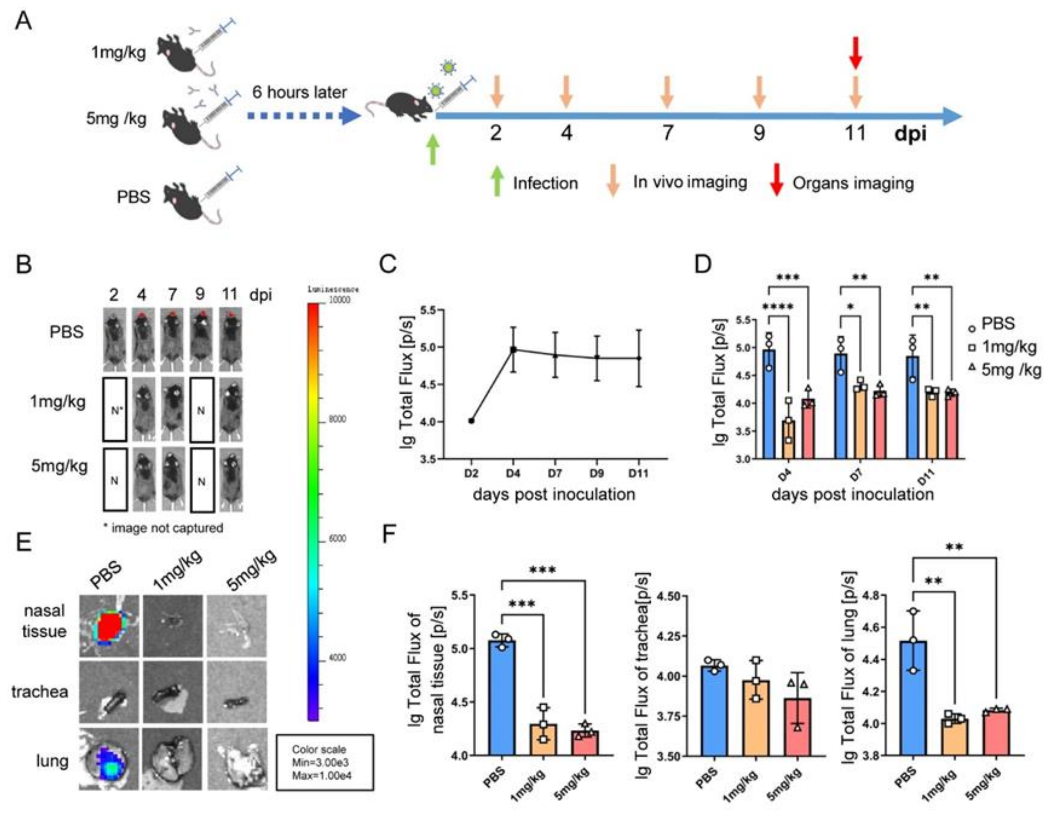 Viruses 14 01740 g005