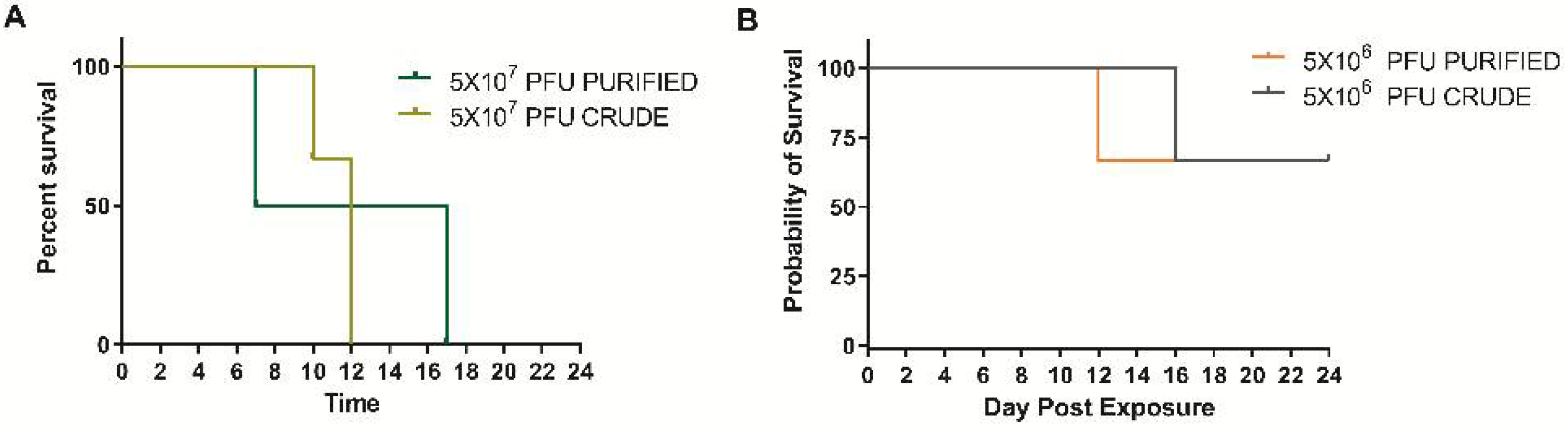 Viruses 14 01741 g001