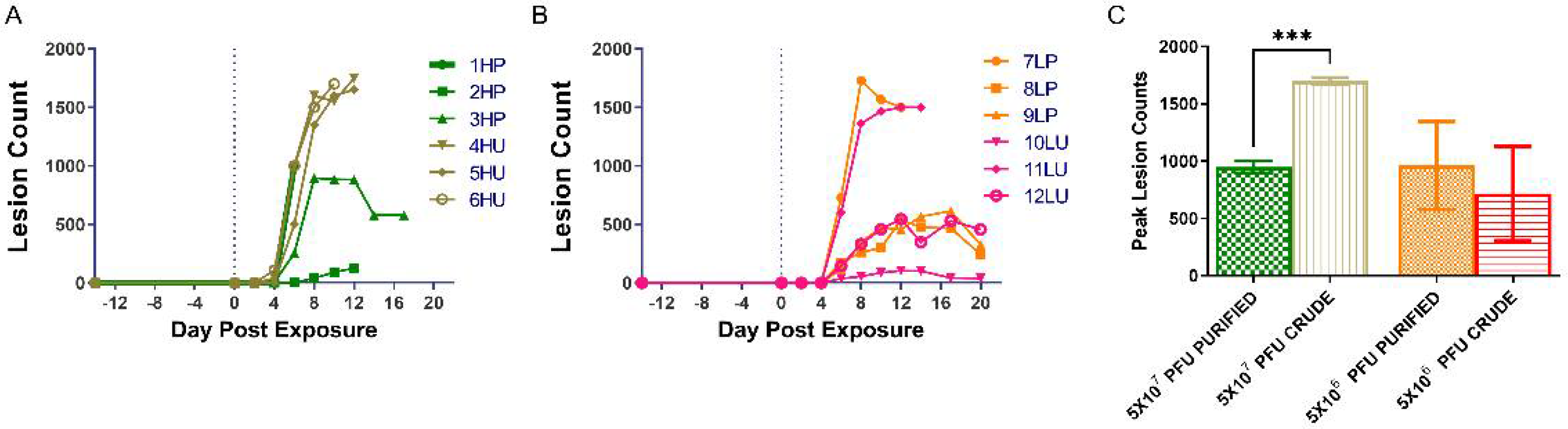 Viruses 14 01741 g003