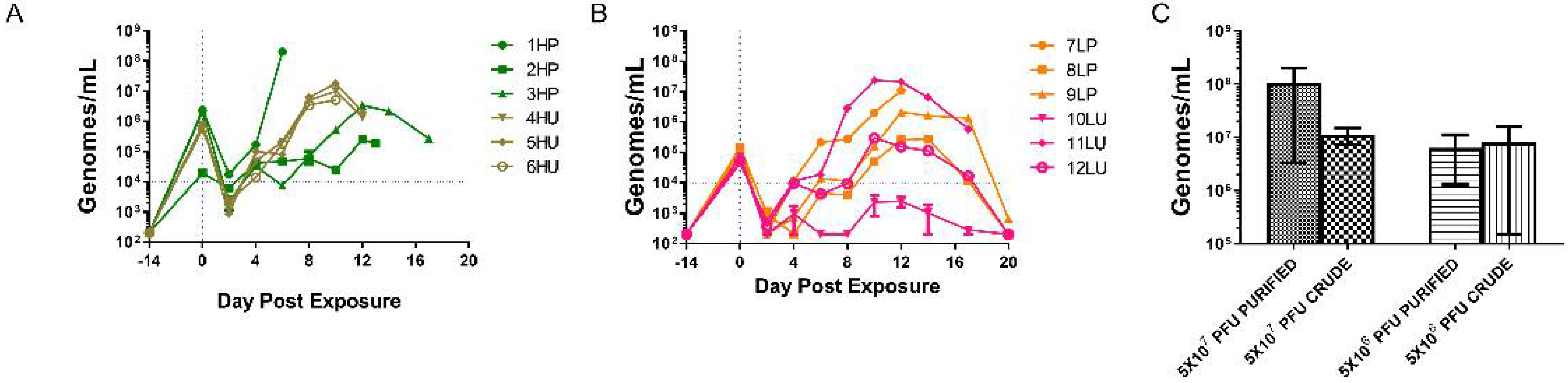 Viruses 14 01741 g004