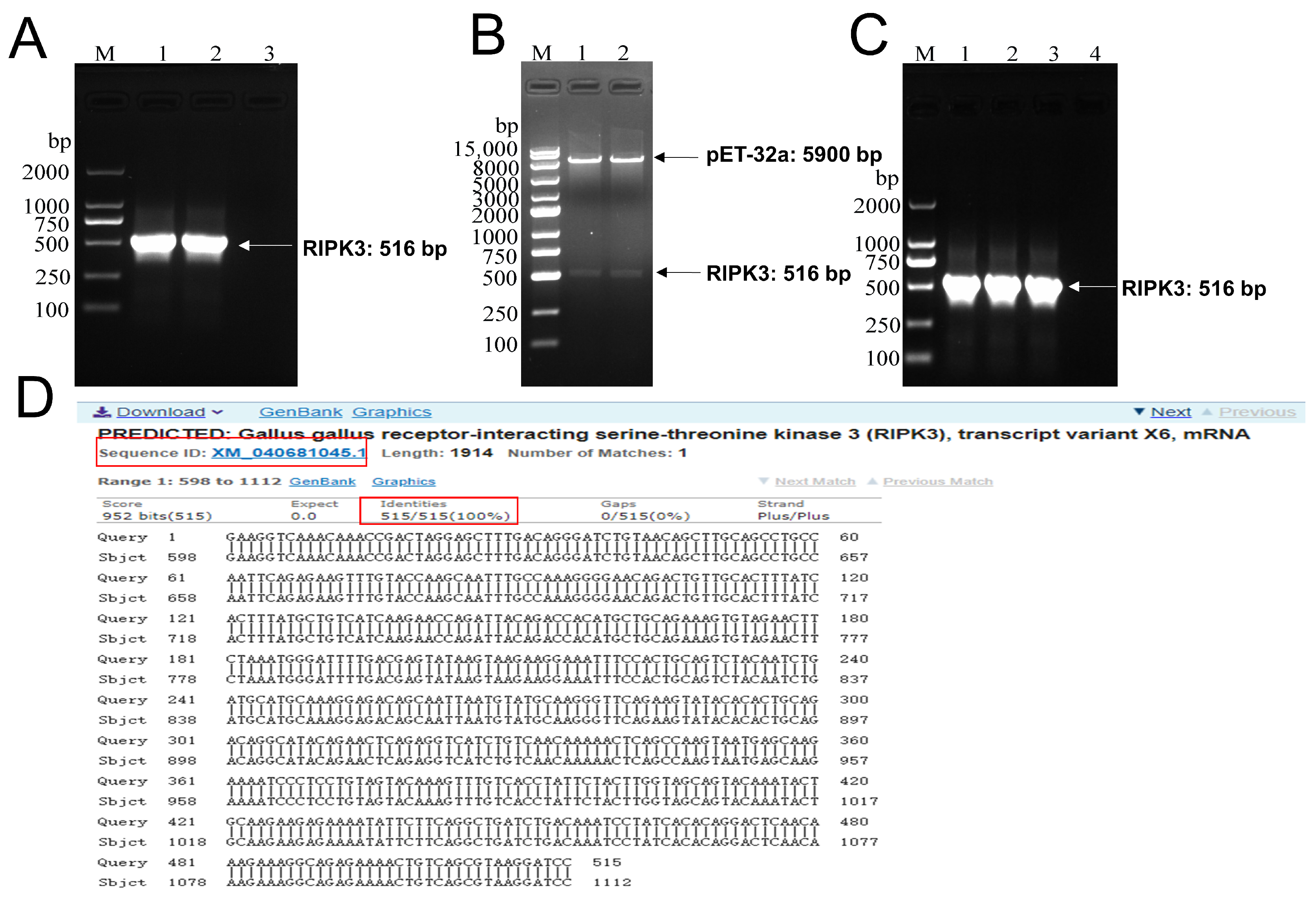 Viruses 14 01747 g001 Viruses 14 01747 g001