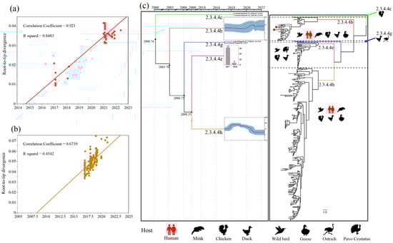 Viruses 14 01752 g001 550
