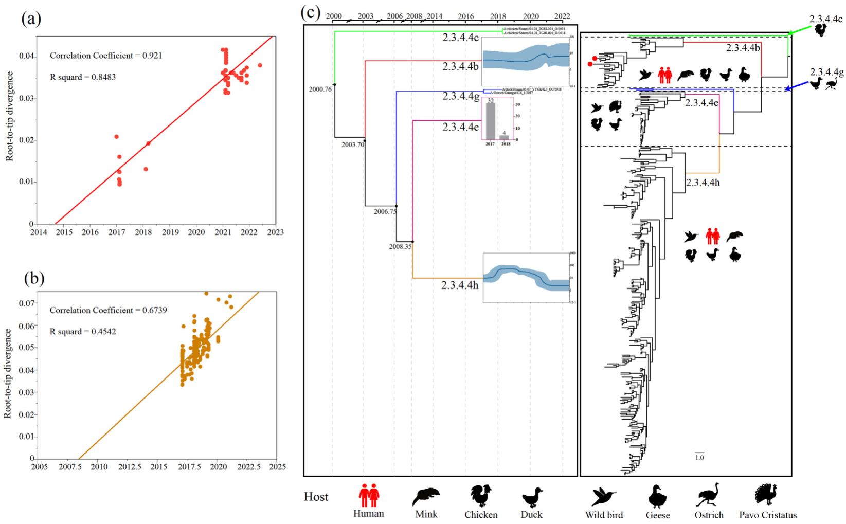Viruses 14 01752 g001