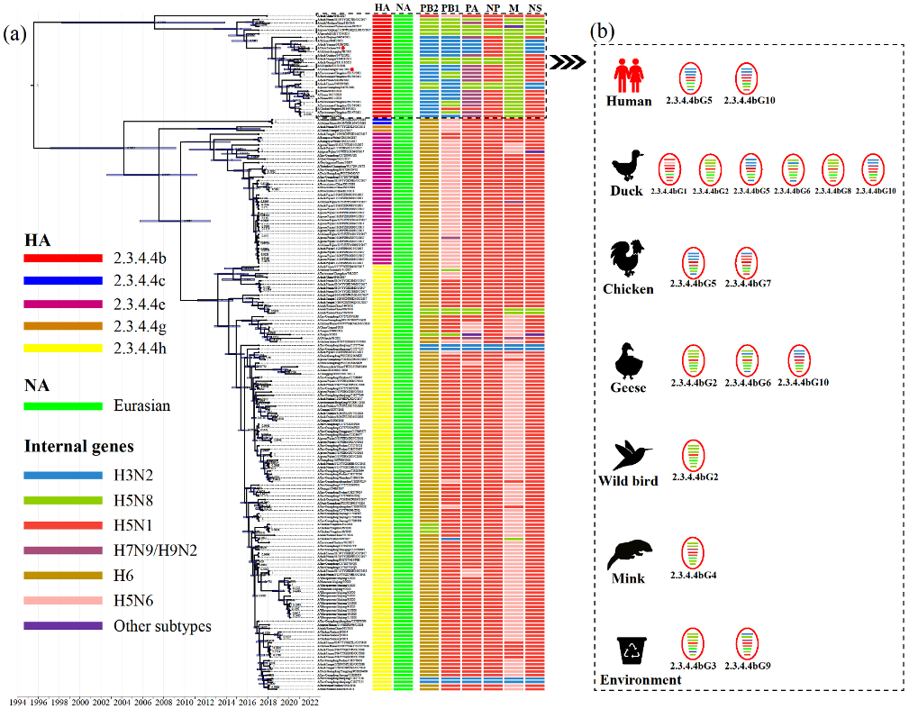 Viruses 14 01752 g002