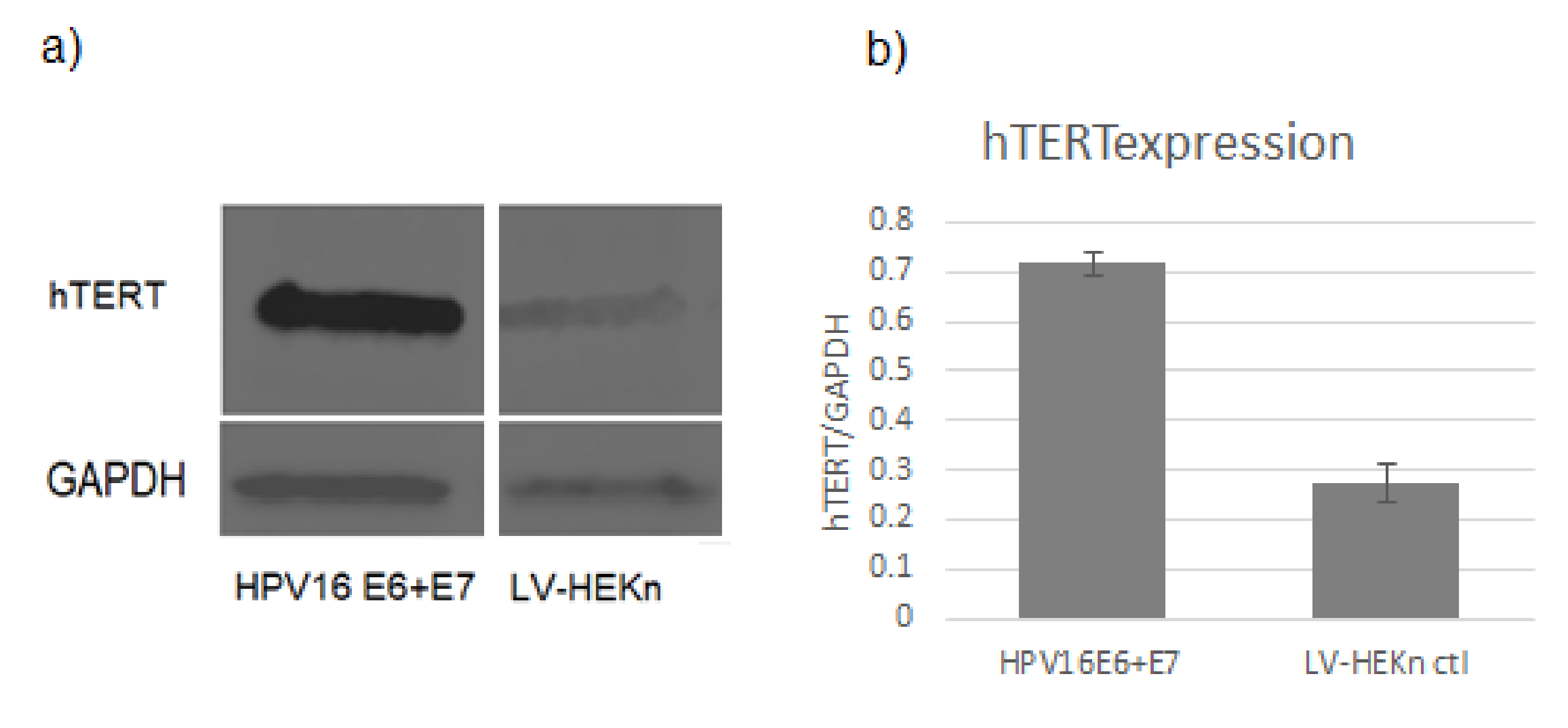 Viruses 14 01764 g001