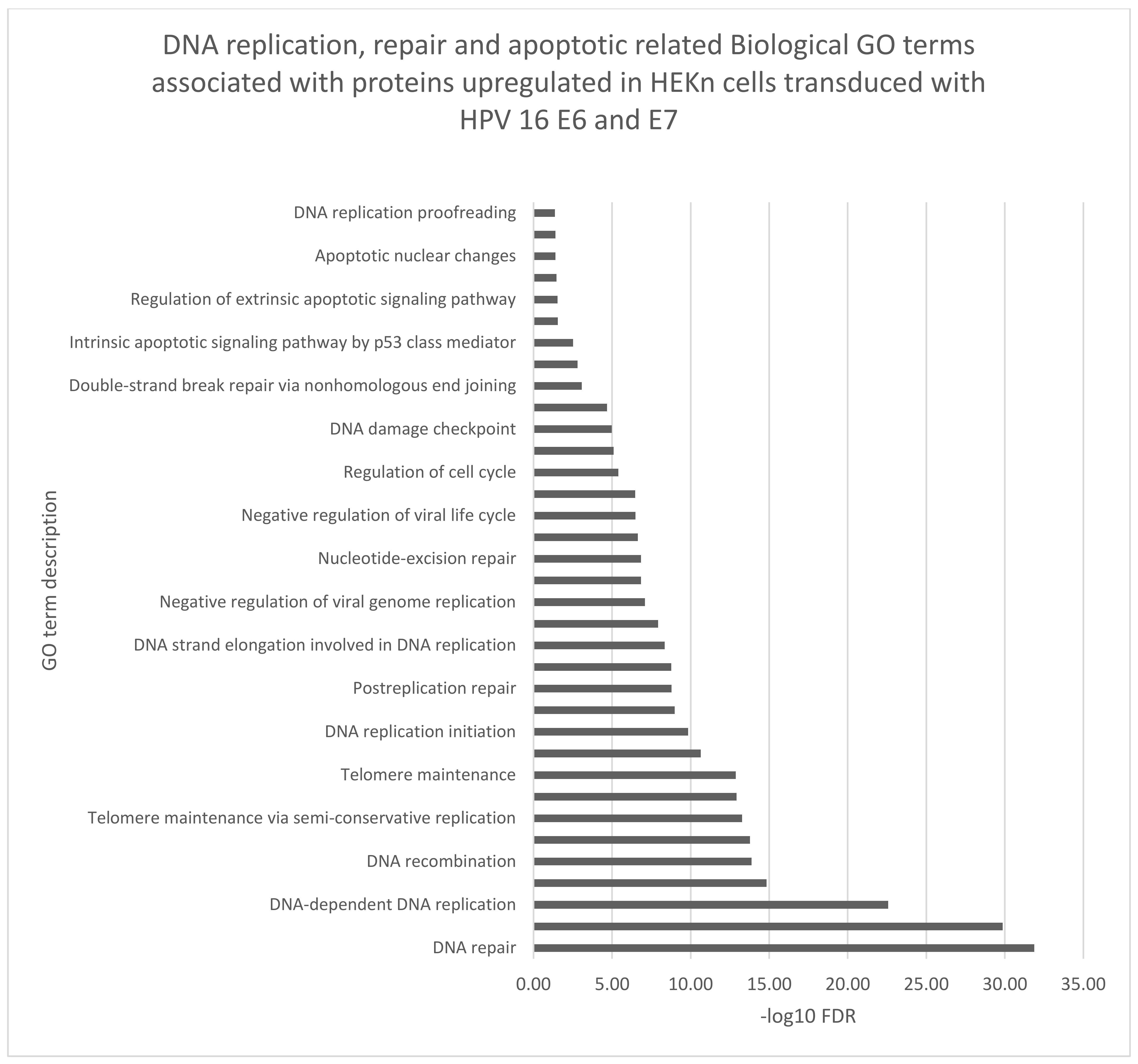 Viruses 14 01764 g005