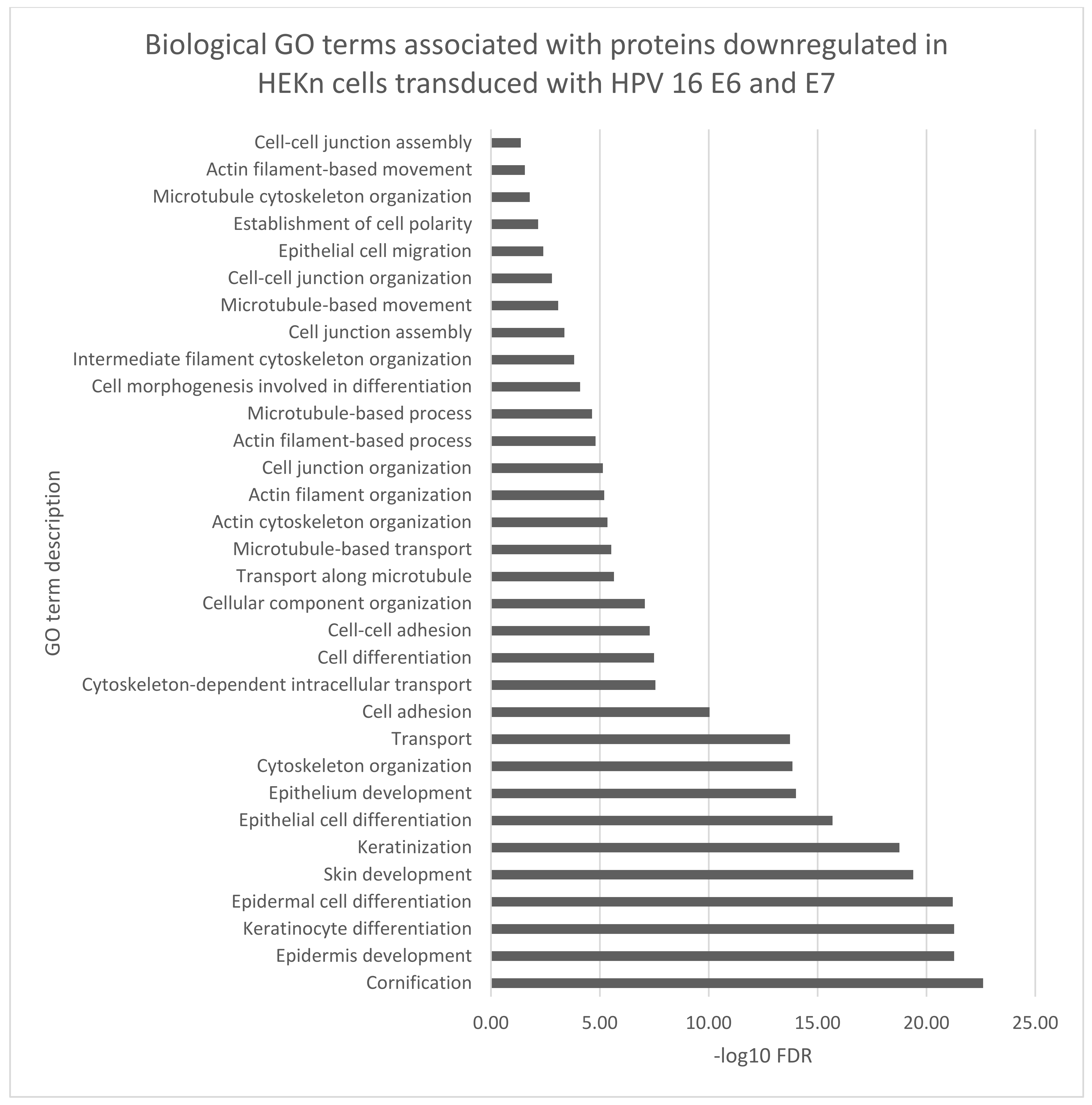 Viruses 14 01764 g006