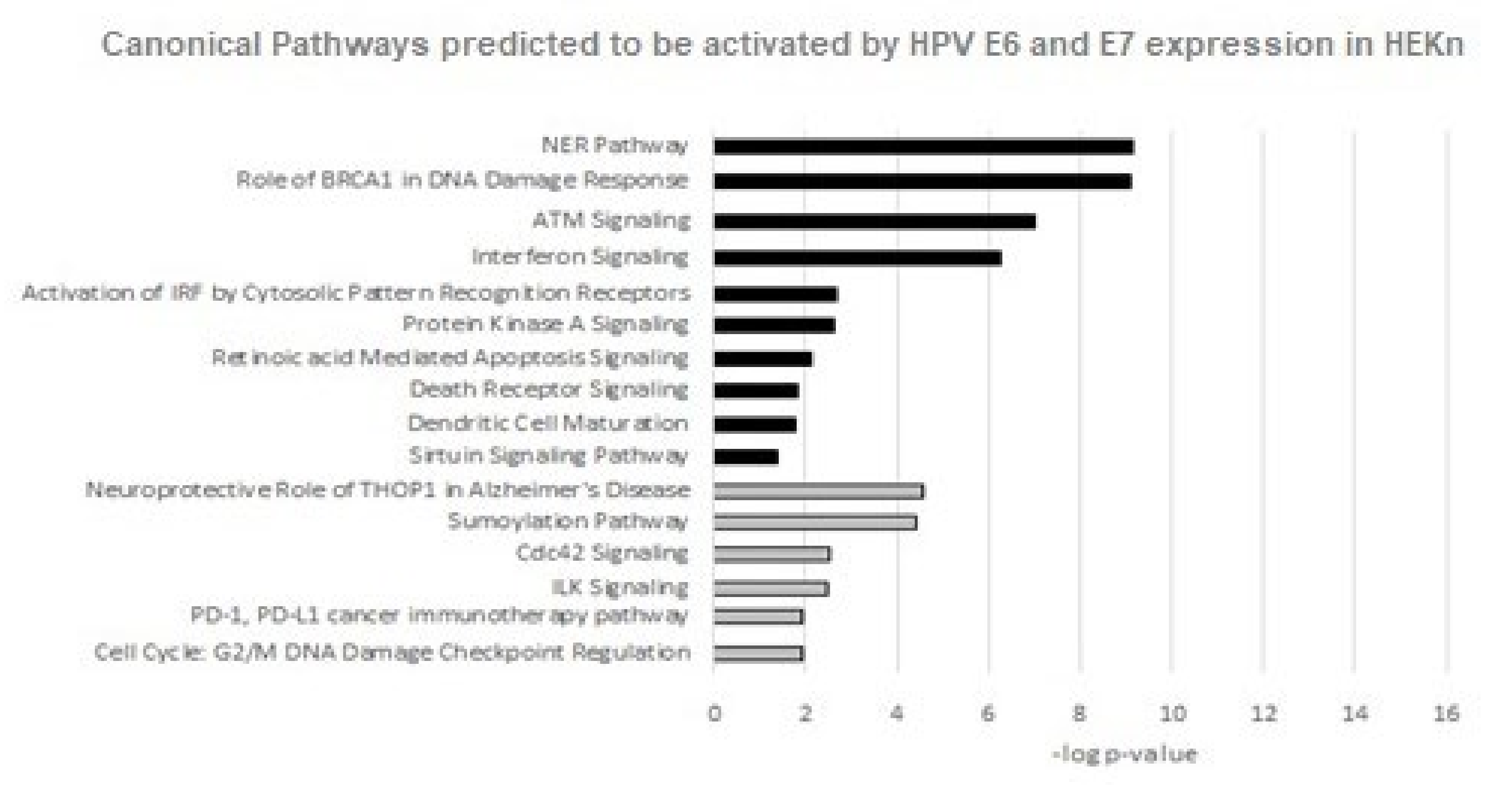 Viruses 14 01764 g007