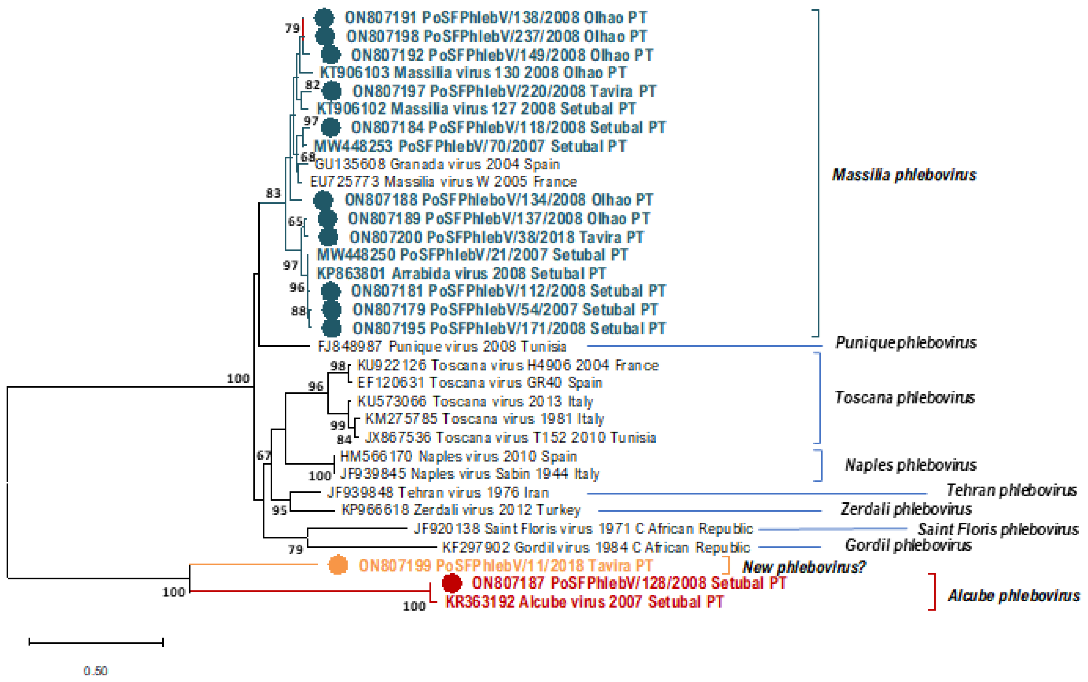 Viruses 14 01768 g001 Viruses 14 01768 g001