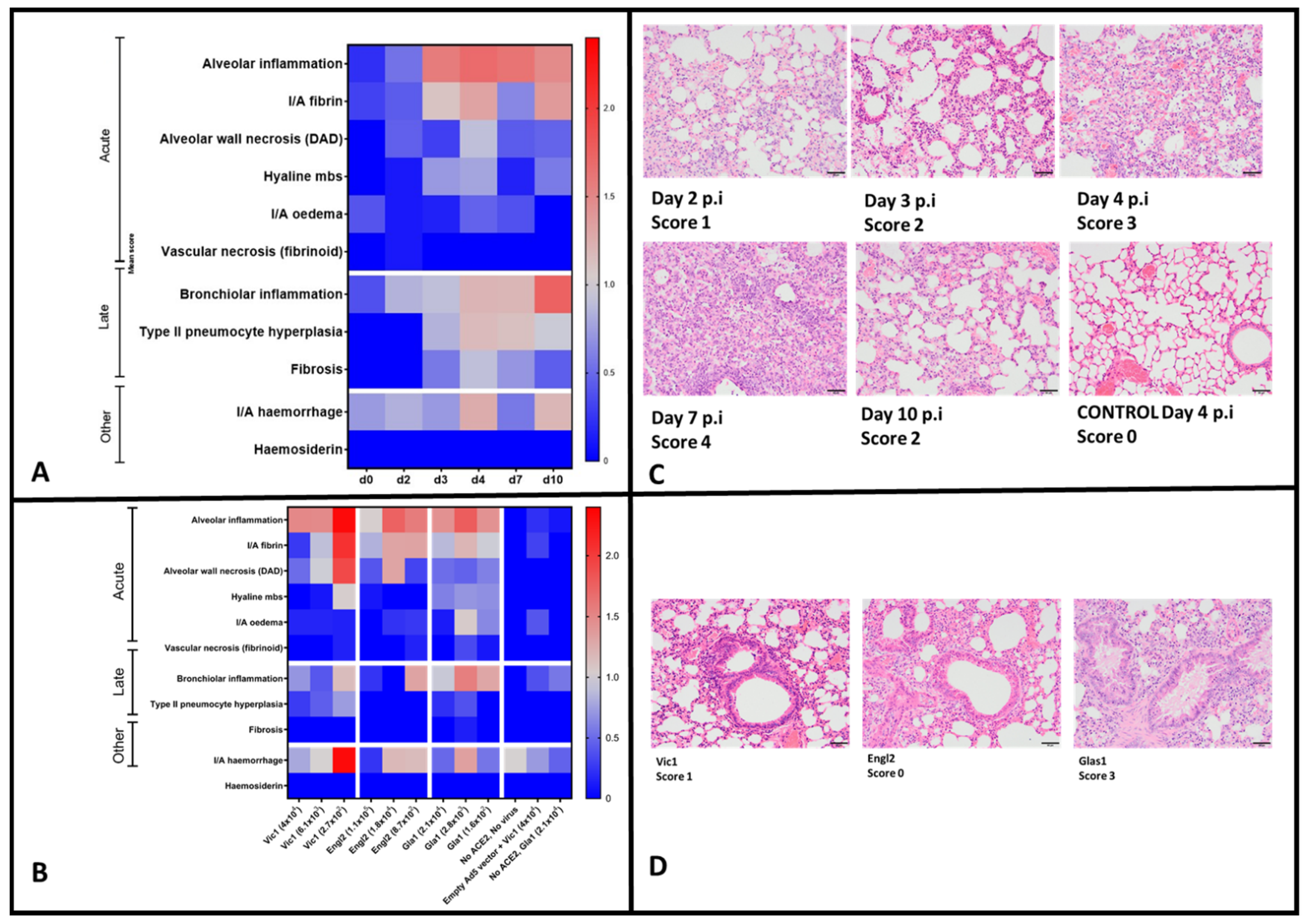 Viruses 14 01769 g005