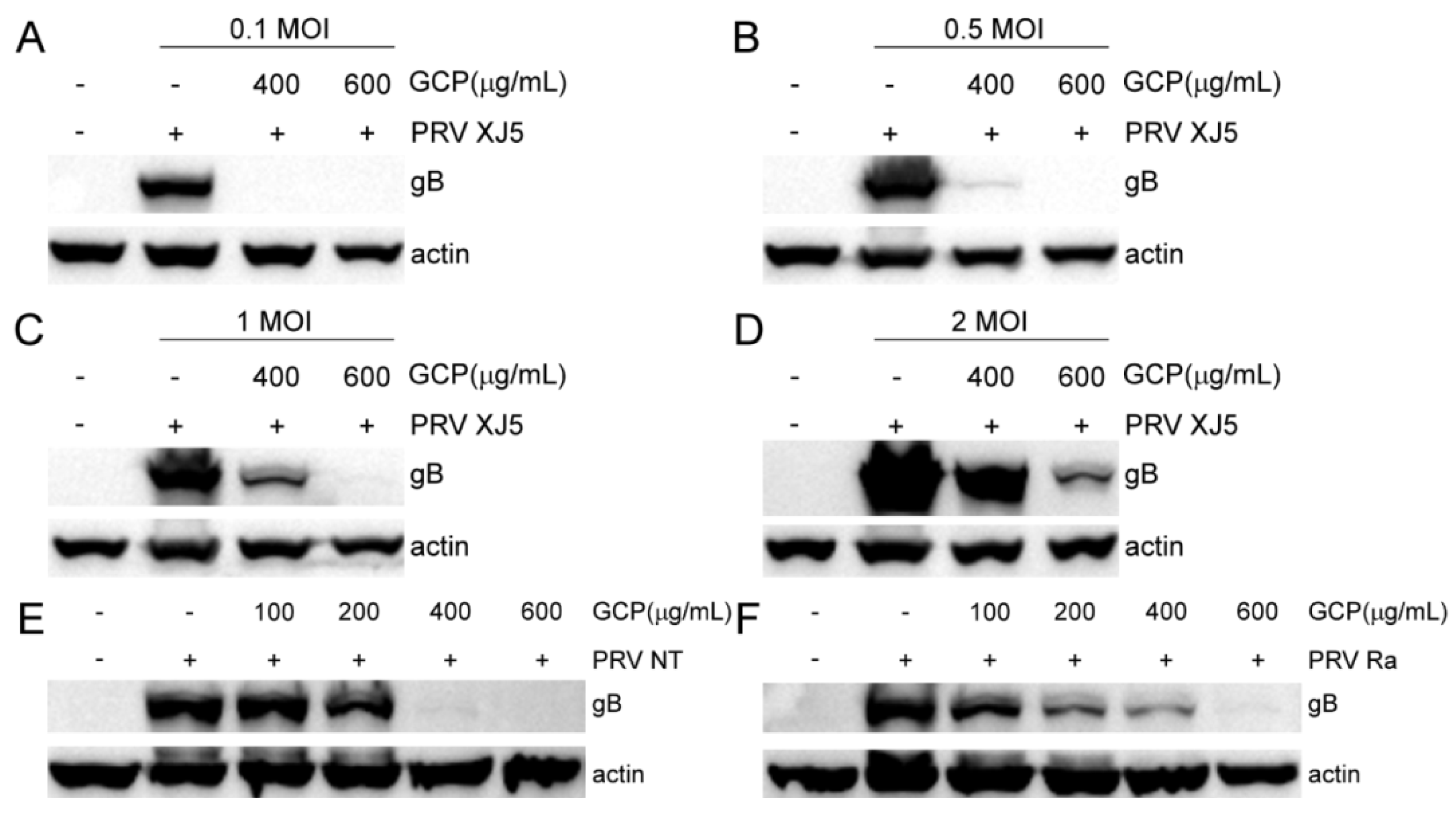 Viruses 14 01772 g003