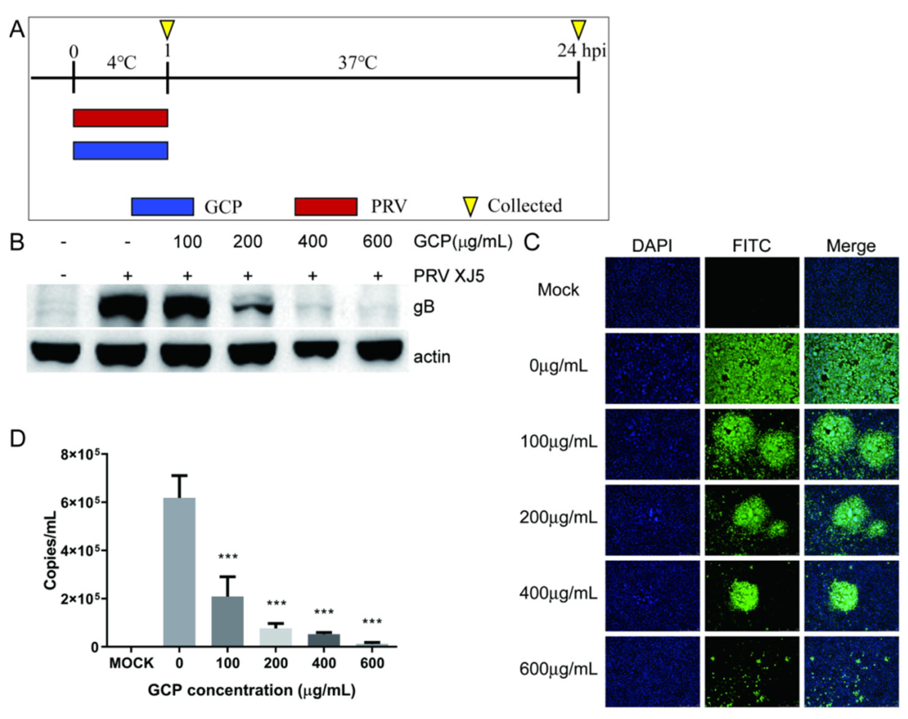 Viruses 14 01772 g005
