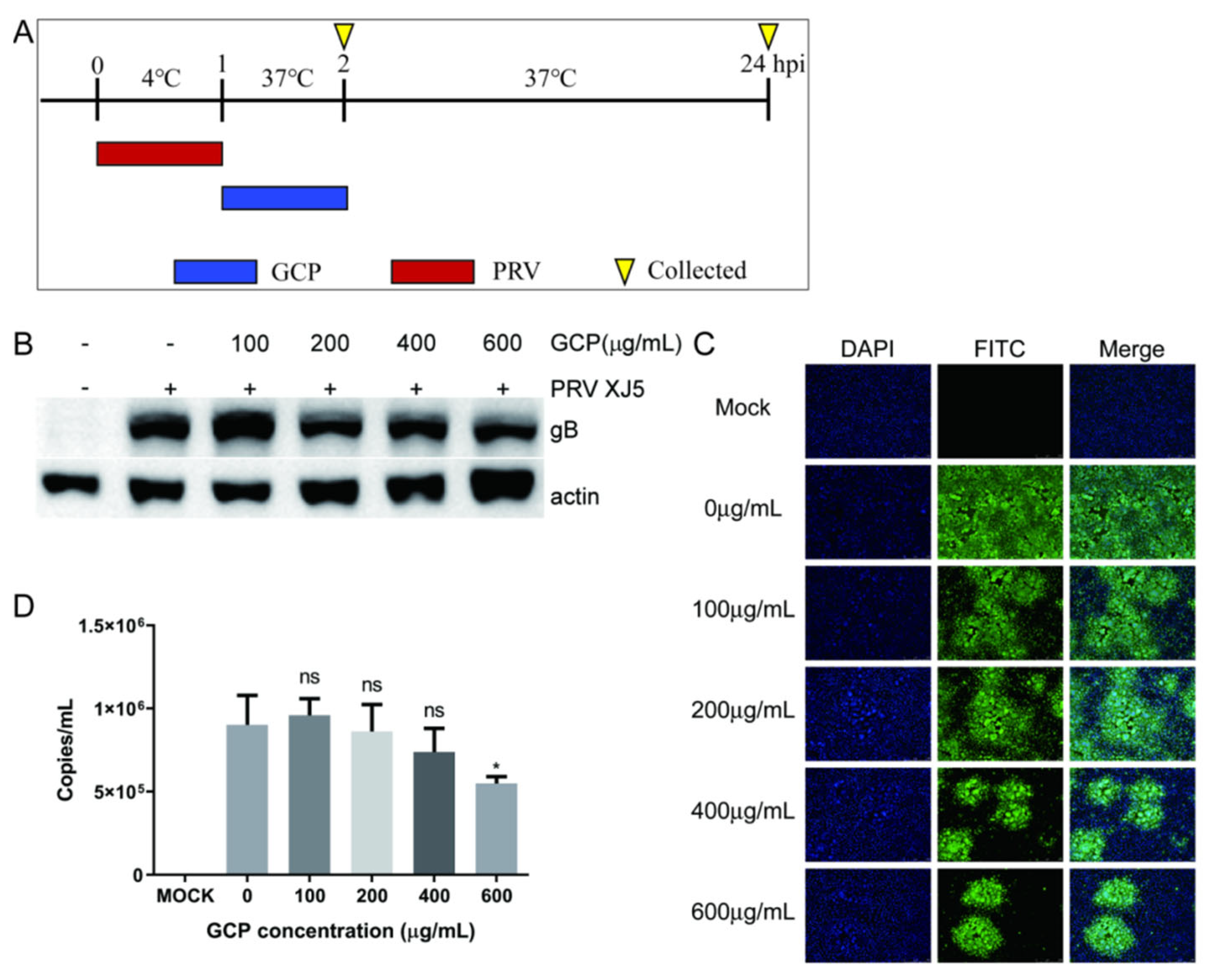 Viruses 14 01772 g006