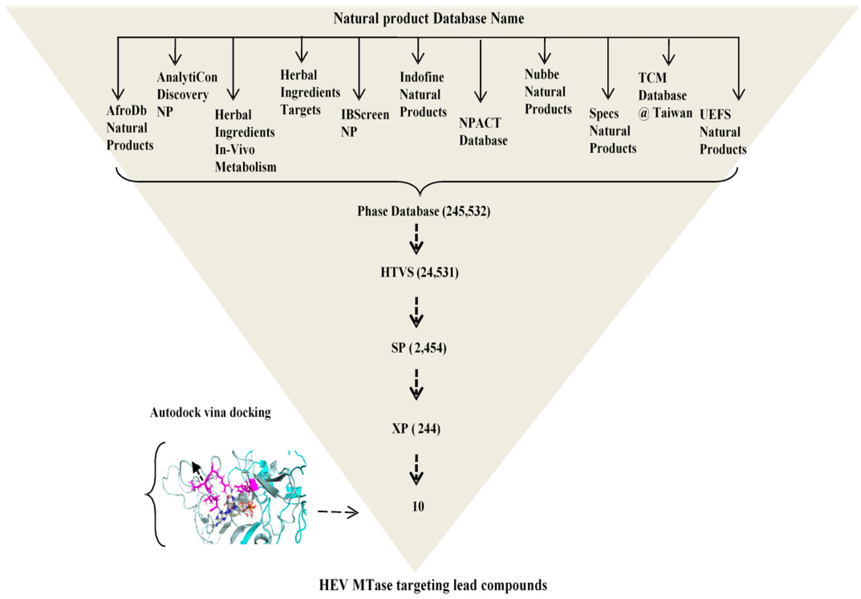Viruses 14 01778 g001