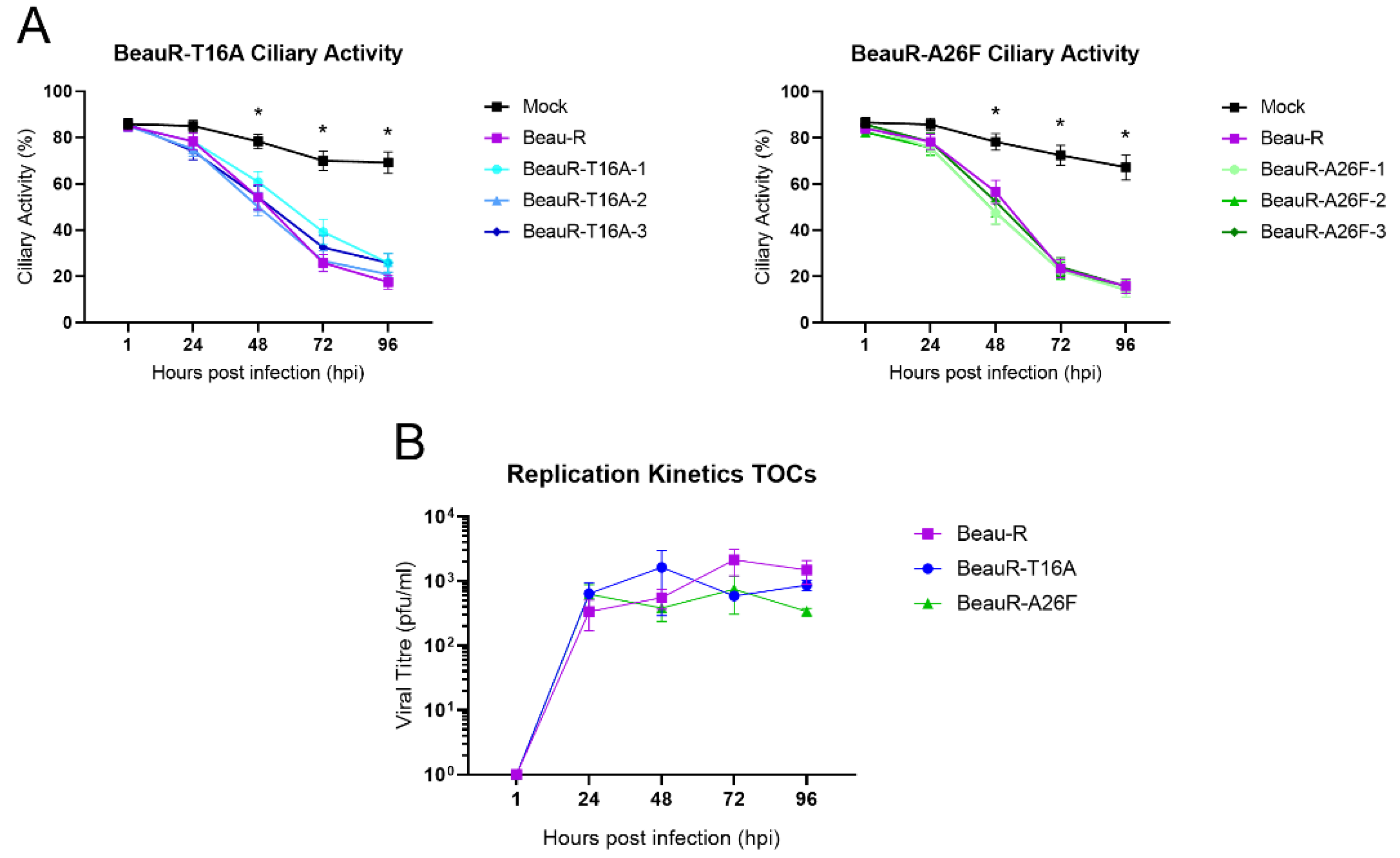 Viruses 14 01784 g005