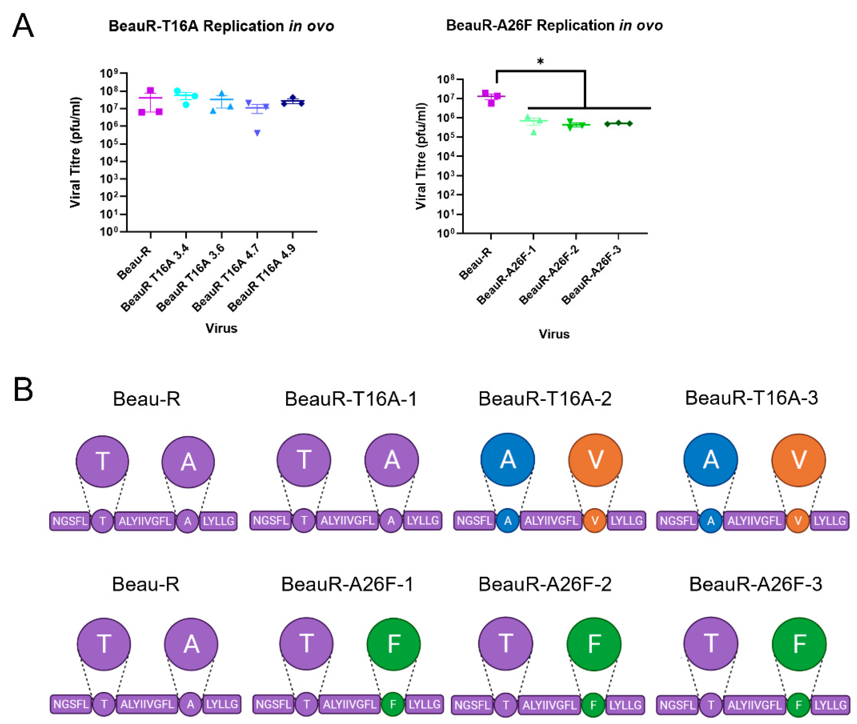 Viruses 14 01784 g007