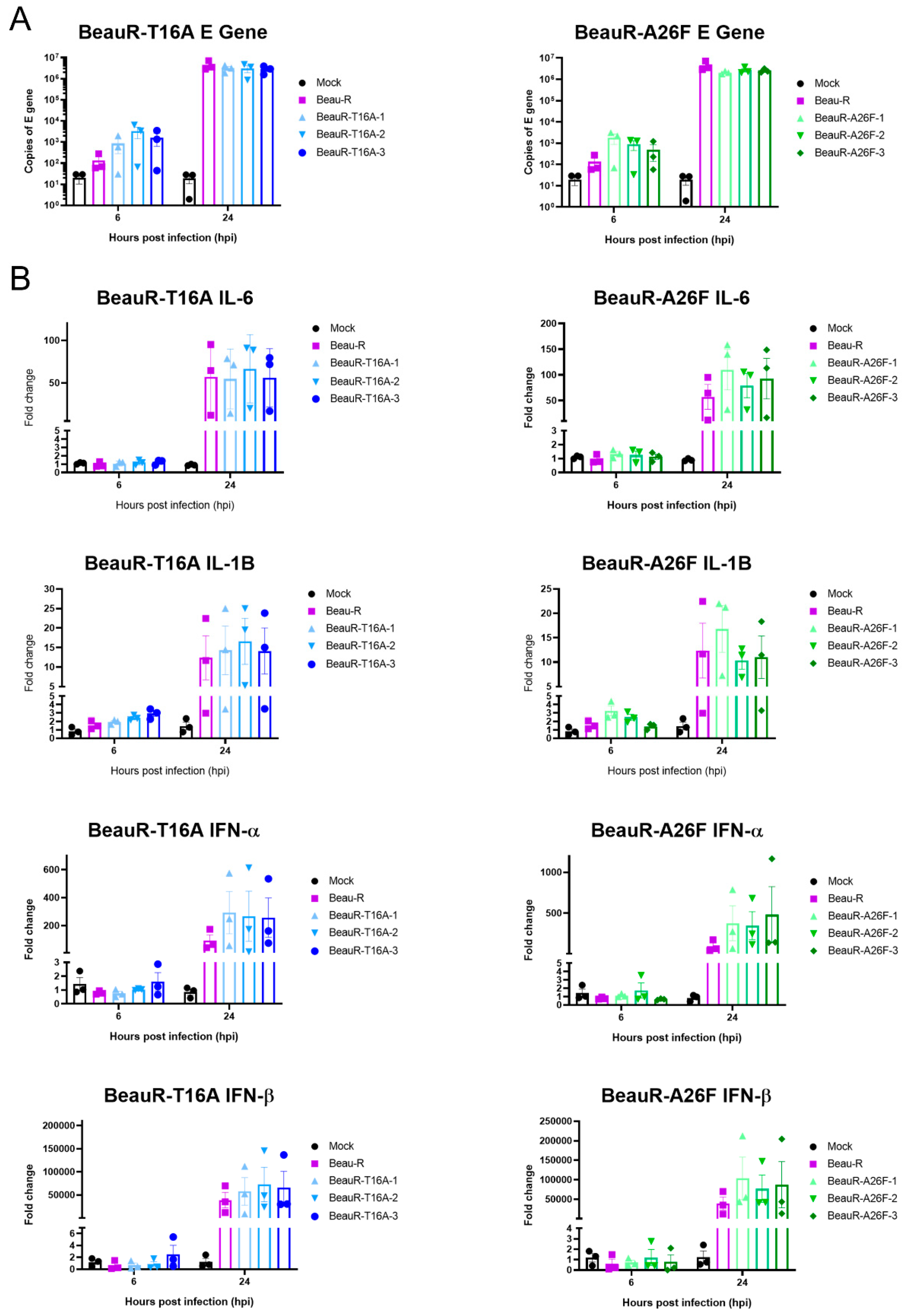 Viruses 14 01784 g010