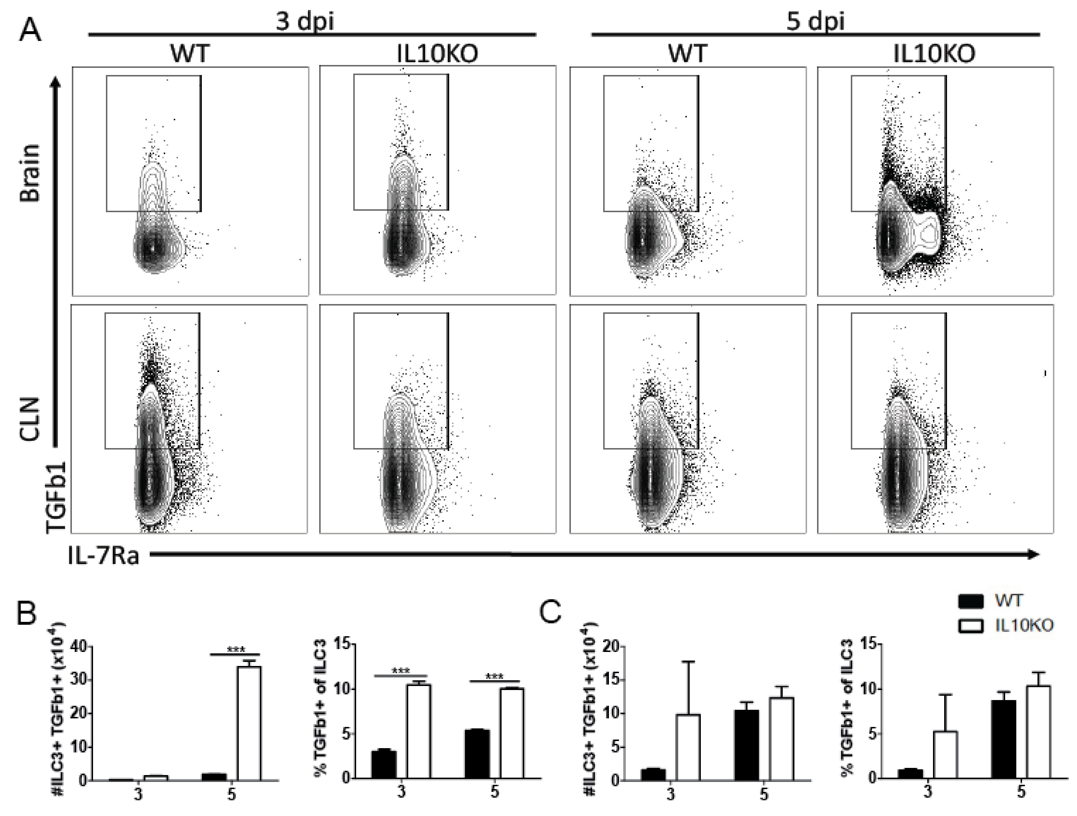 Viruses 14 01791 g002