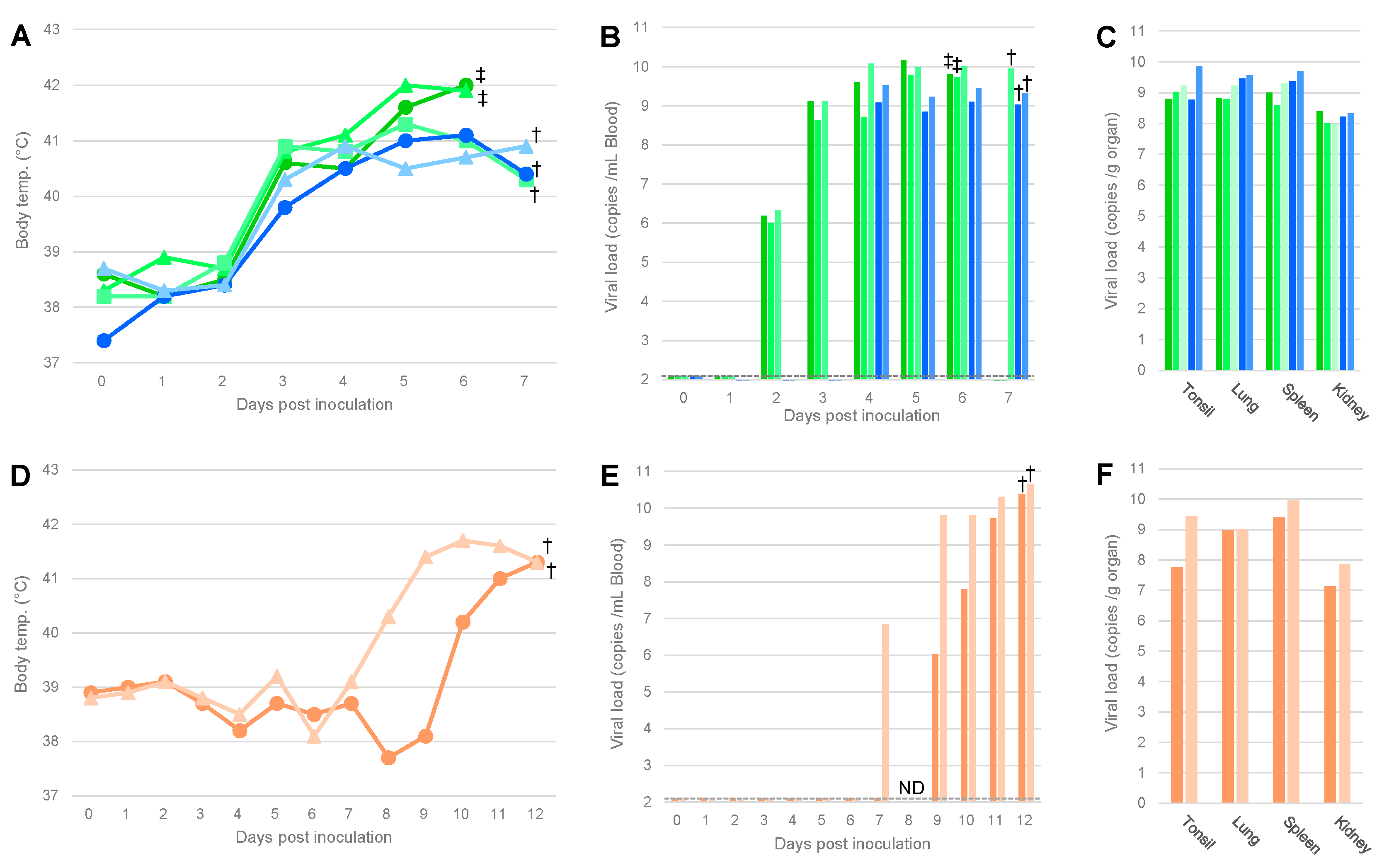 Viruses 14 01794 g001