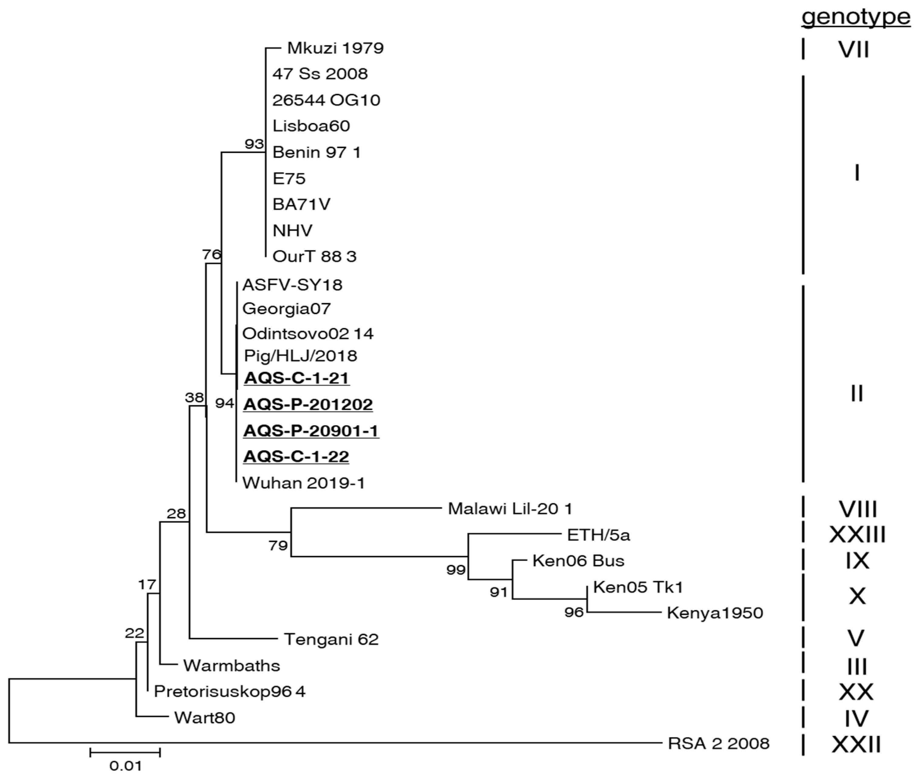 Viruses 14 01794 g003