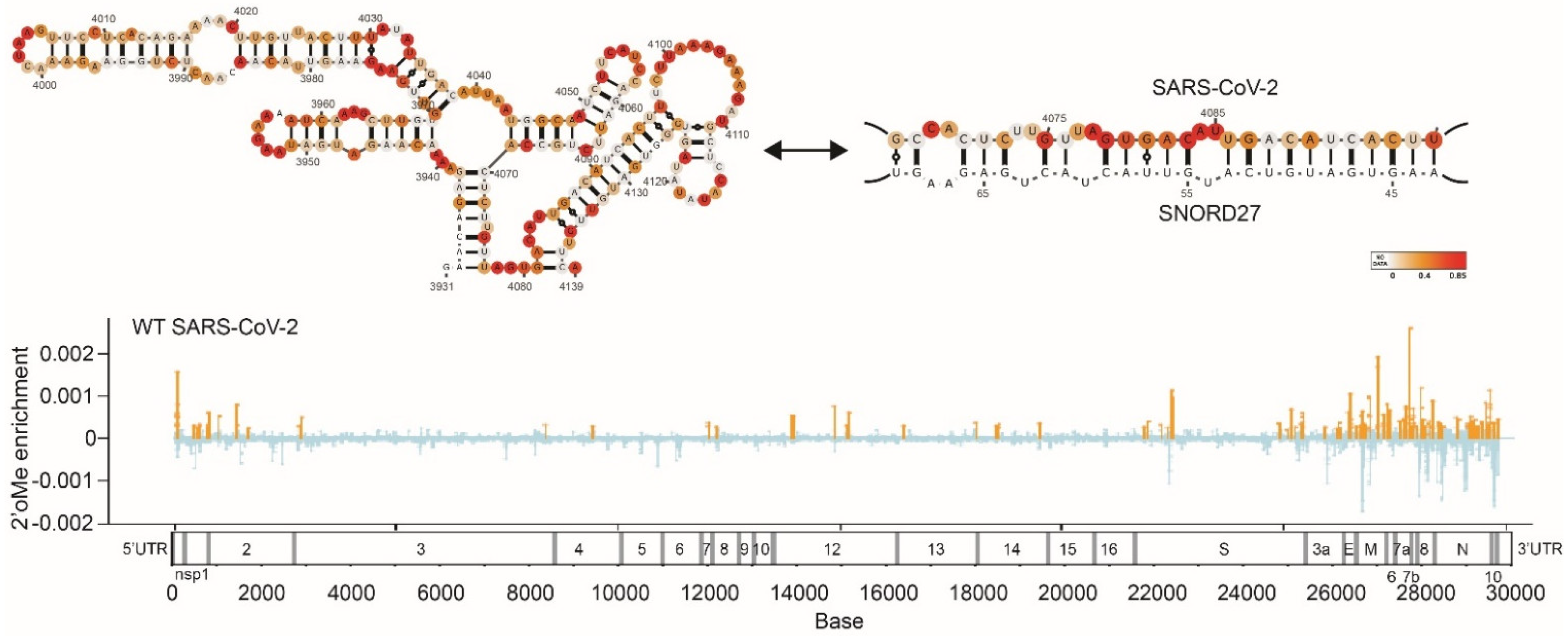Viruses 14 01795 g002 Viruses 14 01795 g002