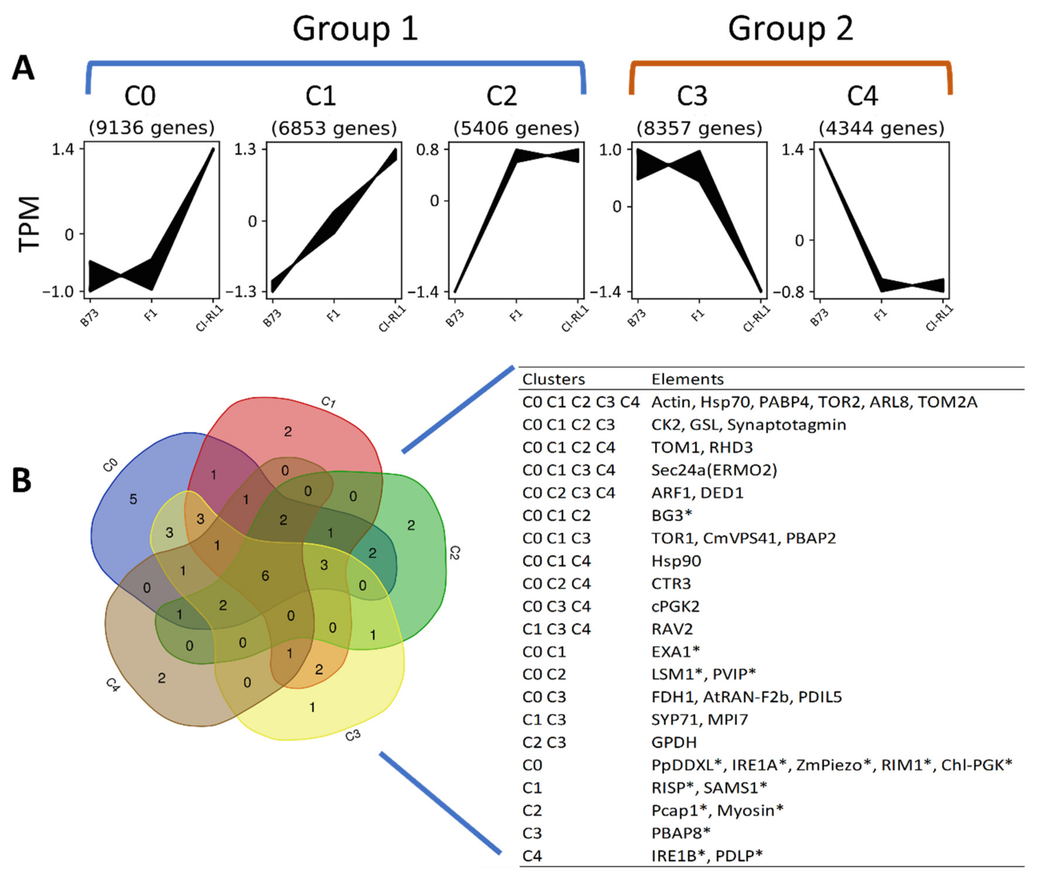 Viruses 14 01803 g002