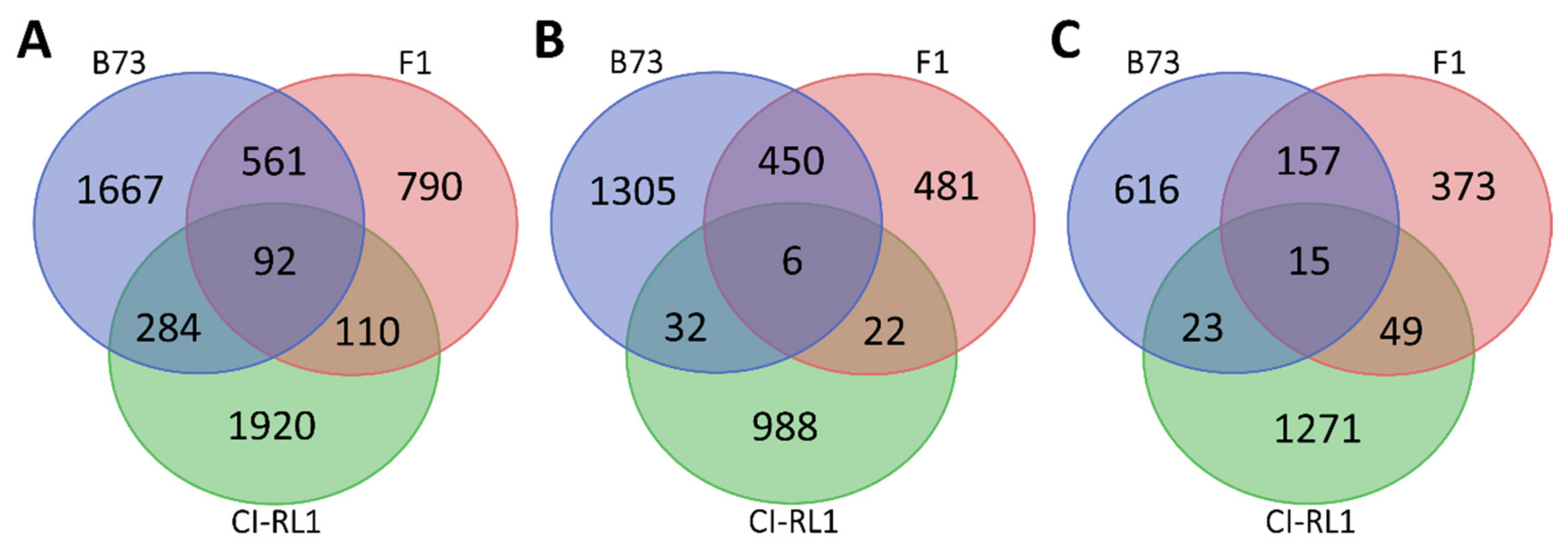 Viruses 14 01803 g003