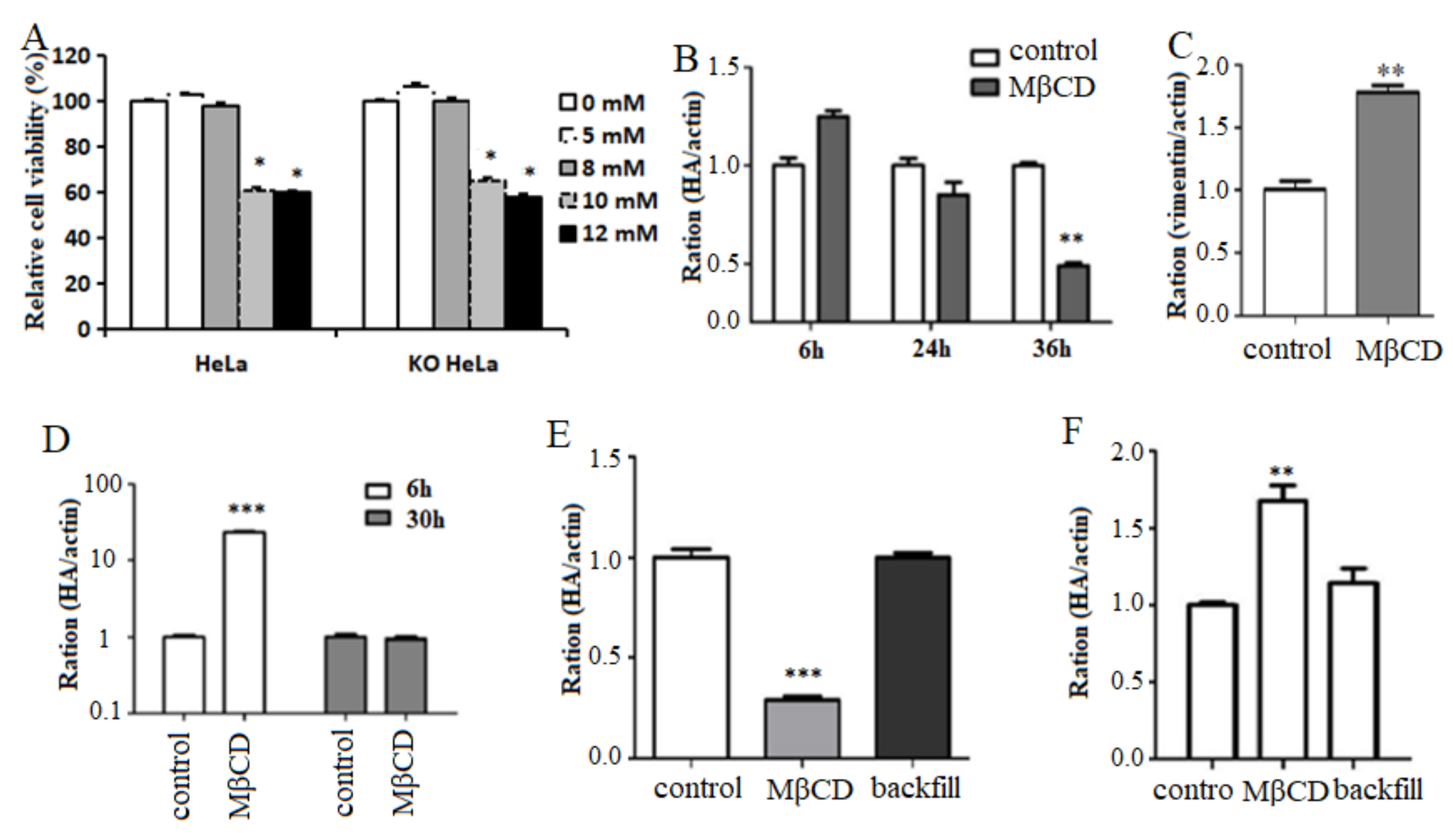 Viruses 14 01814 g005