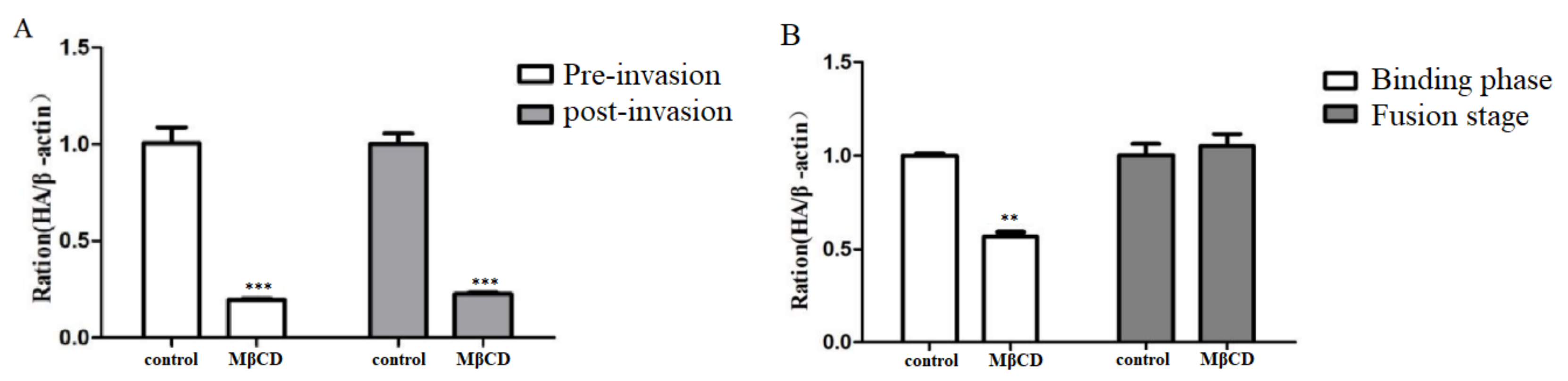 Viruses 14 01814 g006