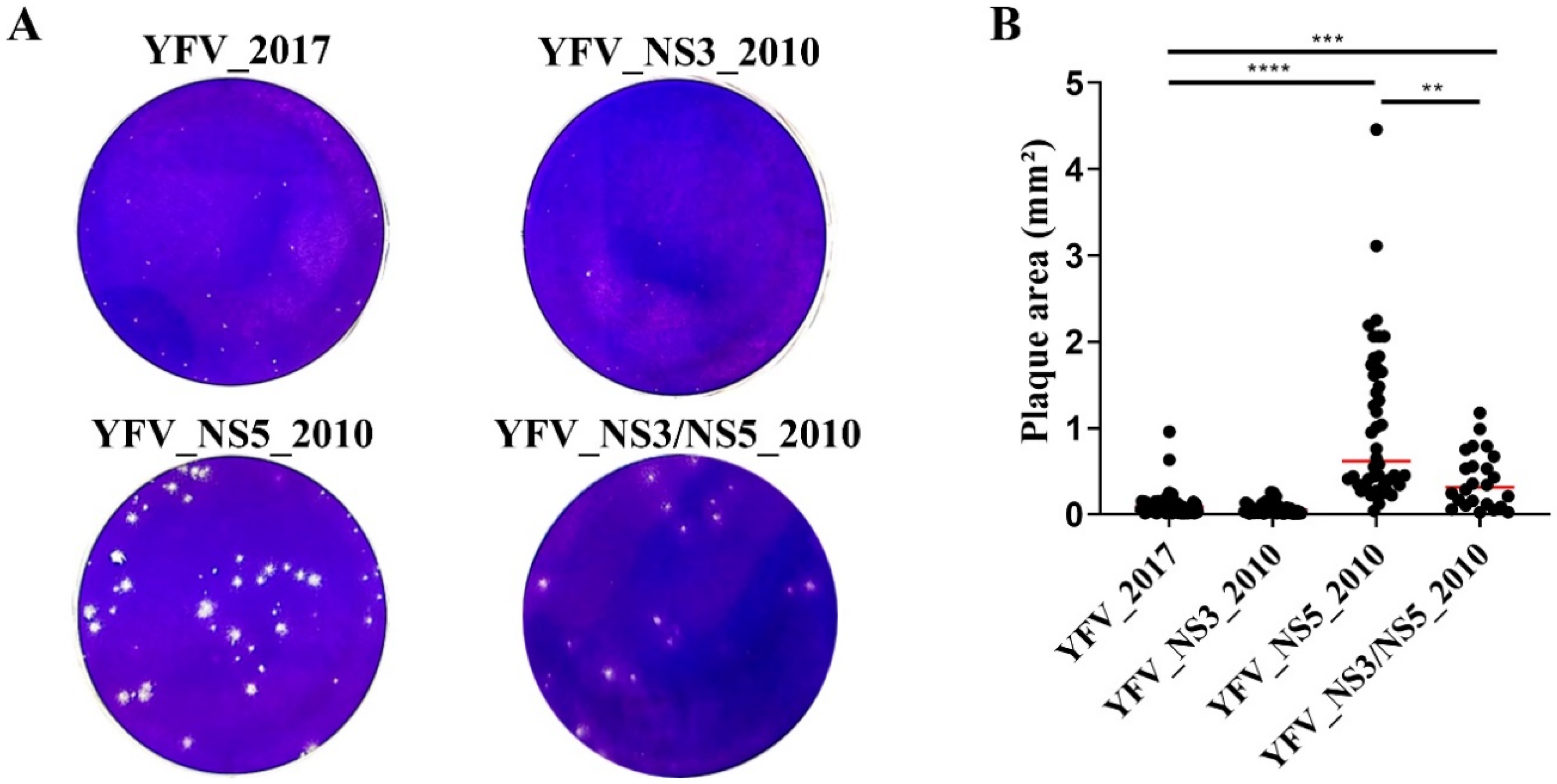 Viruses 14 01818 g001