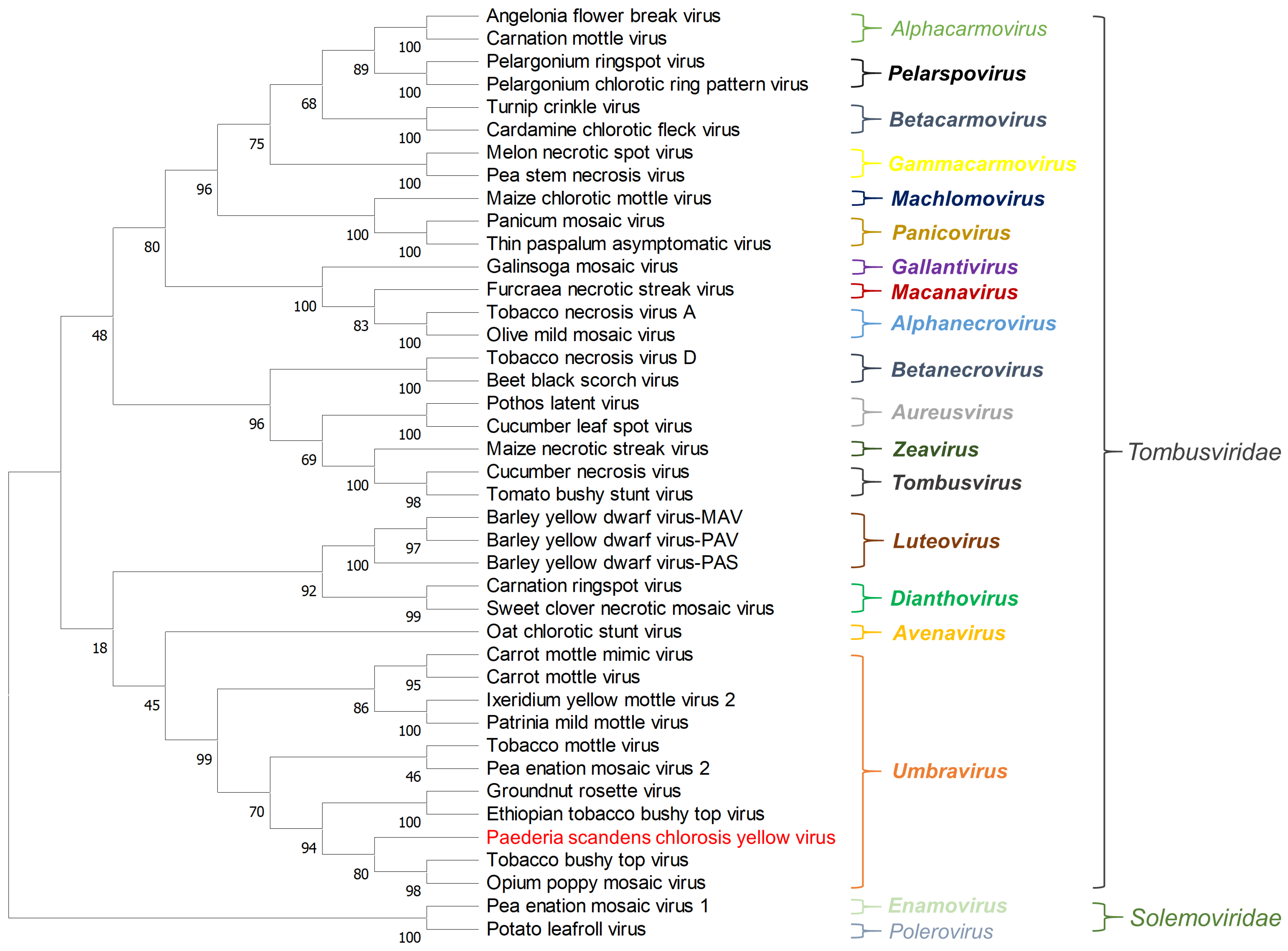 Viruses 14 01821 g003 Viruses 14 01821 g003