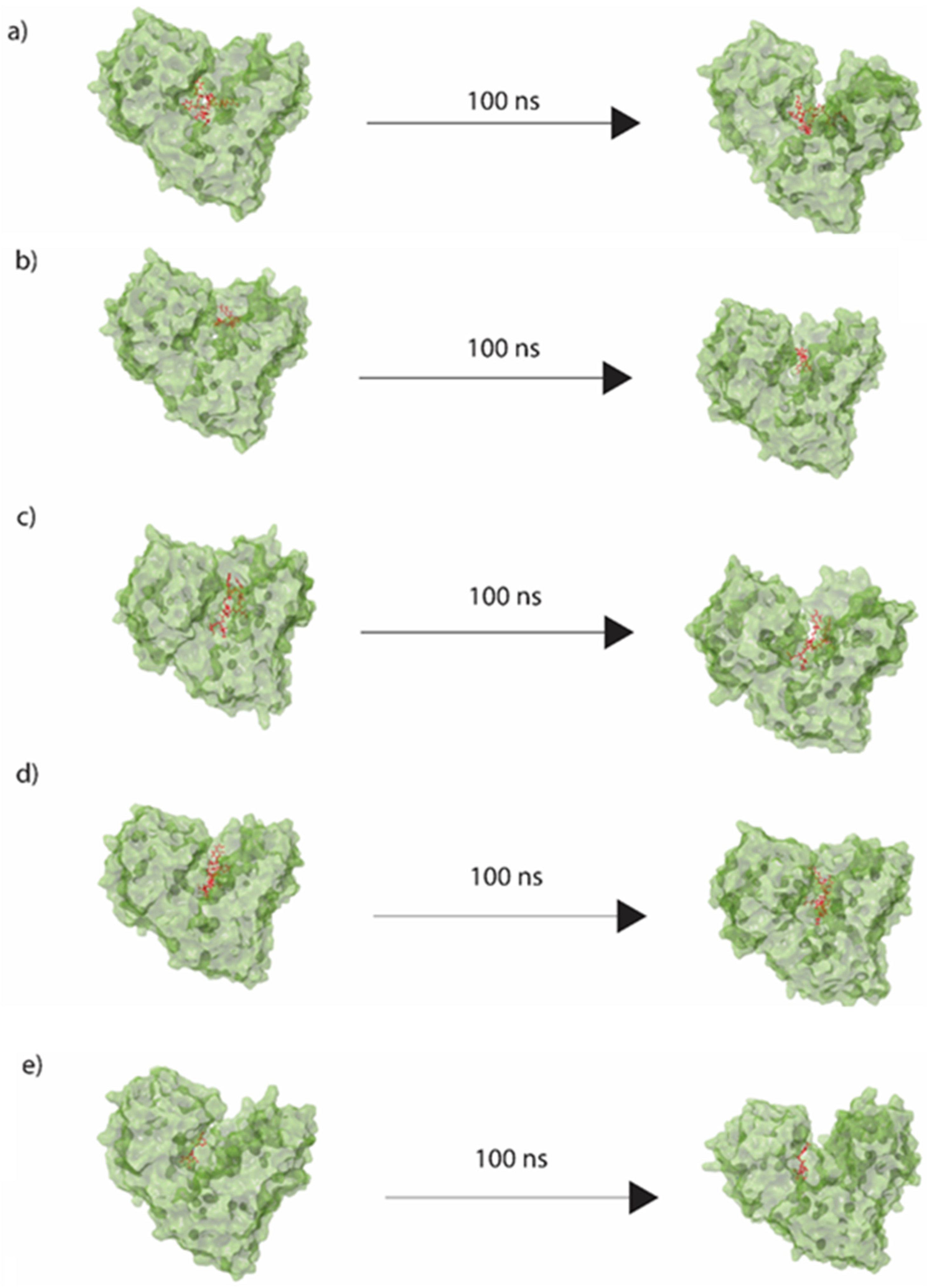 Viruses 14 01827 g005