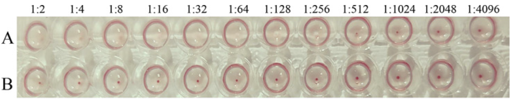 Viruses 14 01828 g004