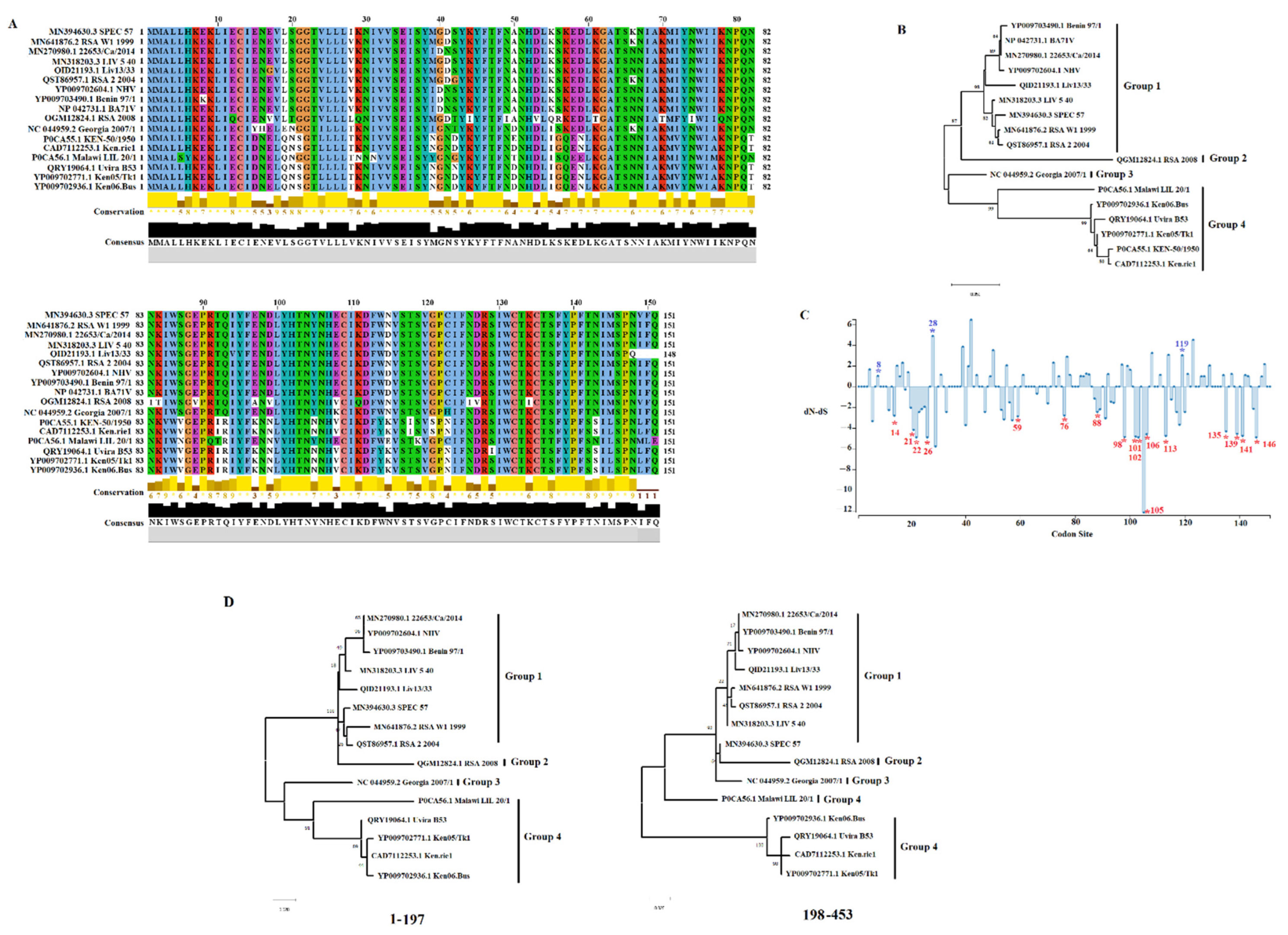 Viruses 14 01834 g001