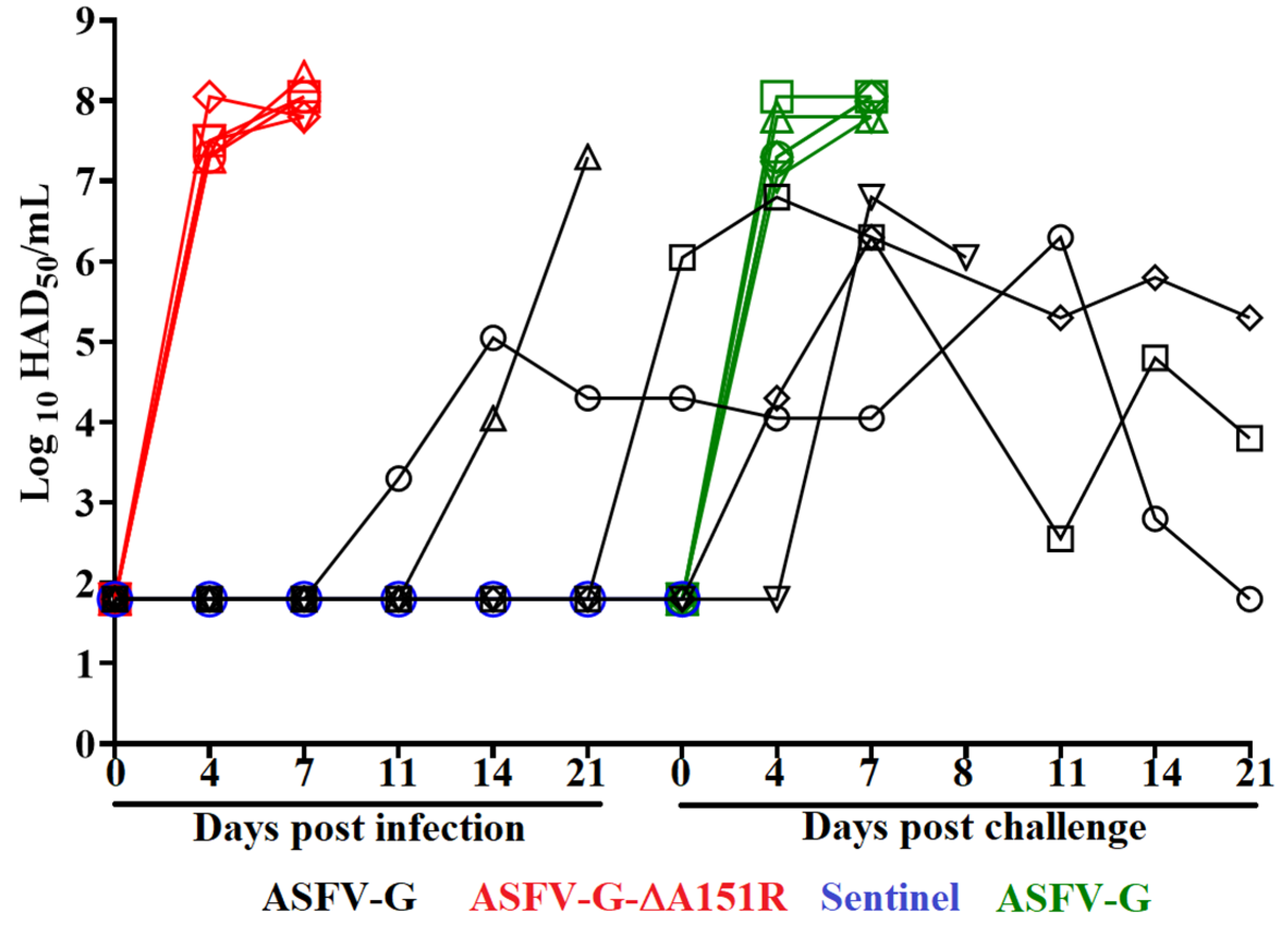 Viruses 14 01834 g006