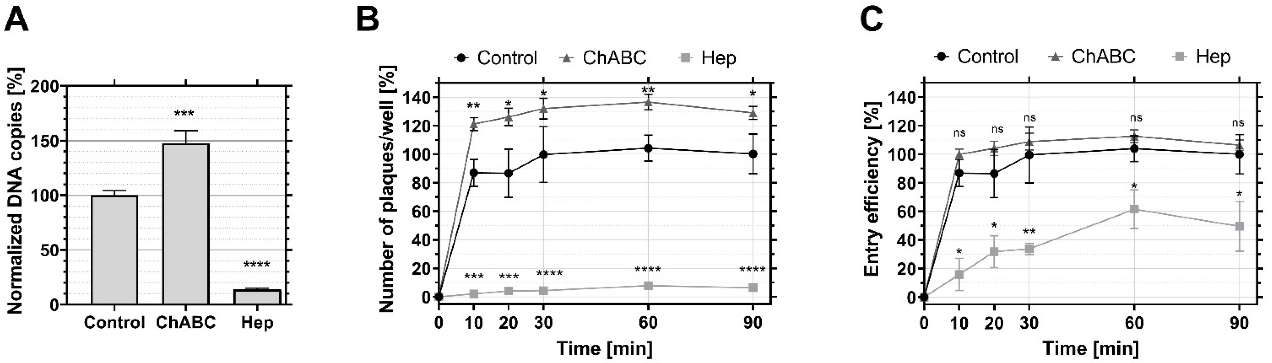 Viruses 14 01836 g003