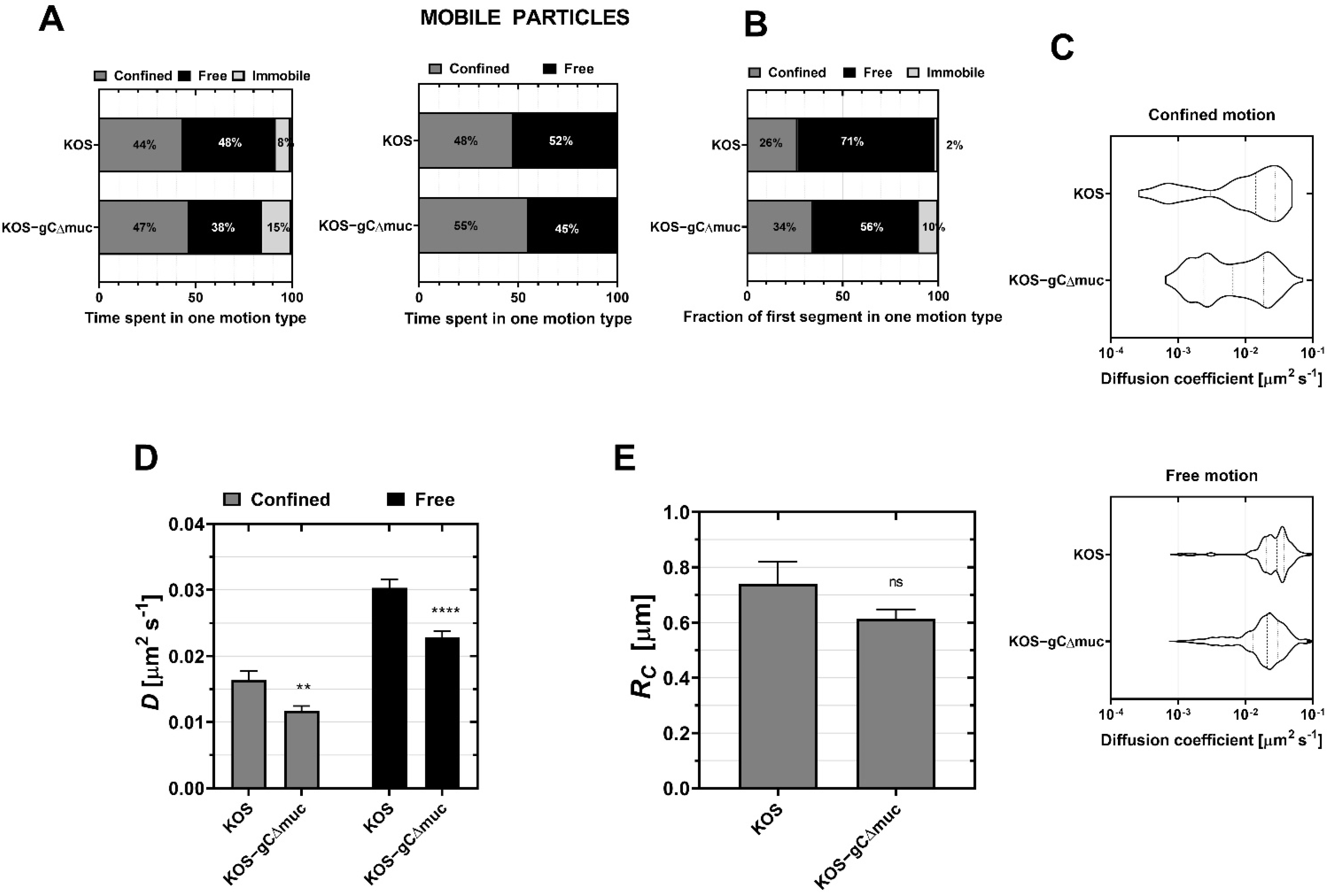 Viruses 14 01836 g004
