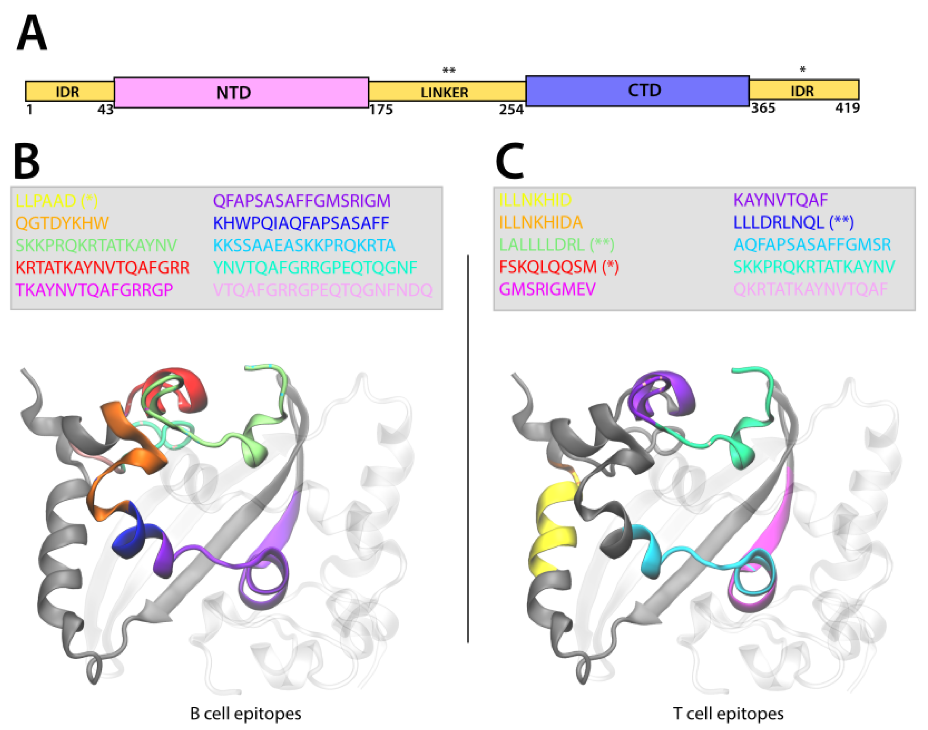 Viruses 14 01837 g004