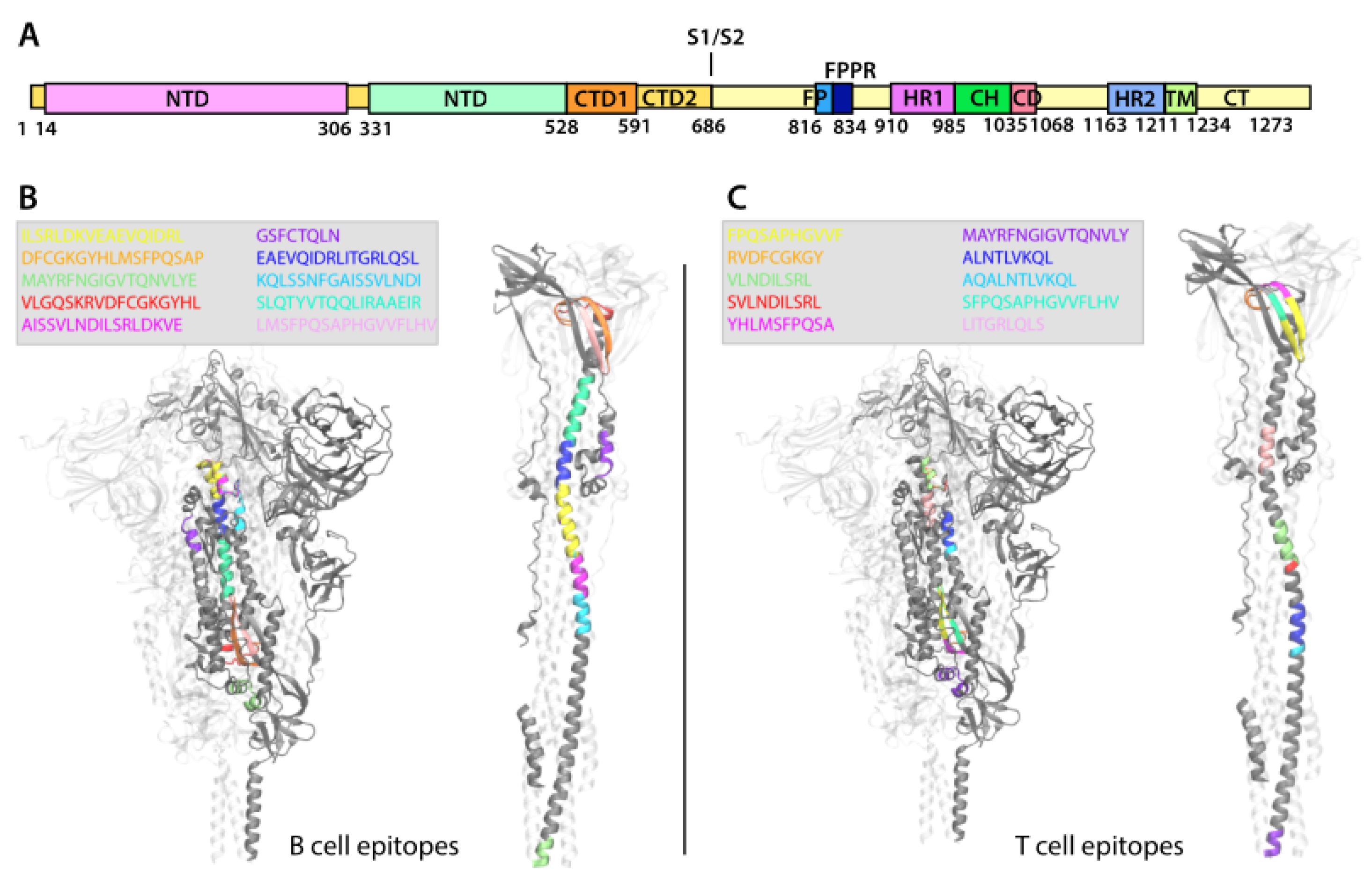 Viruses 14 01837 g005