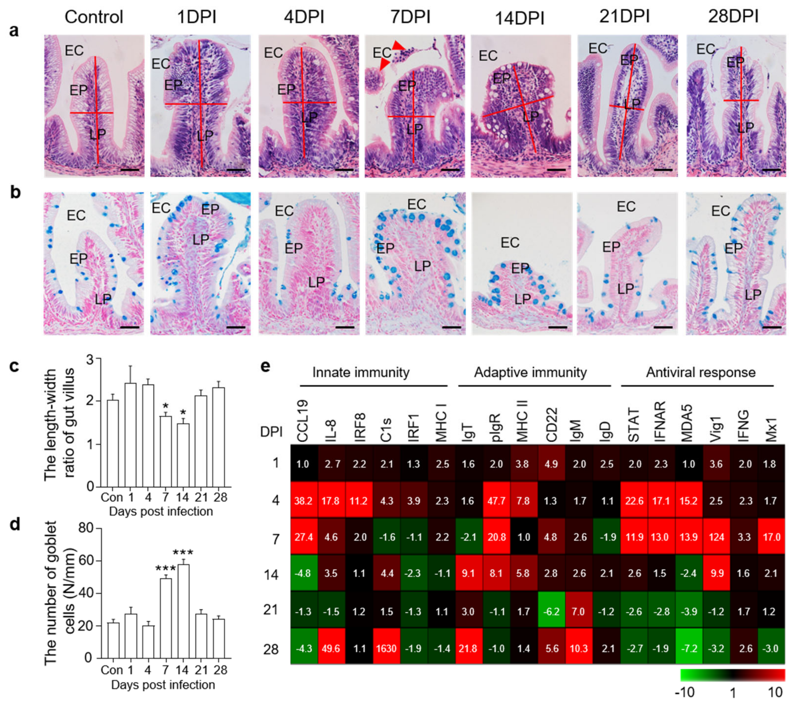 Viruses 14 01838 g002