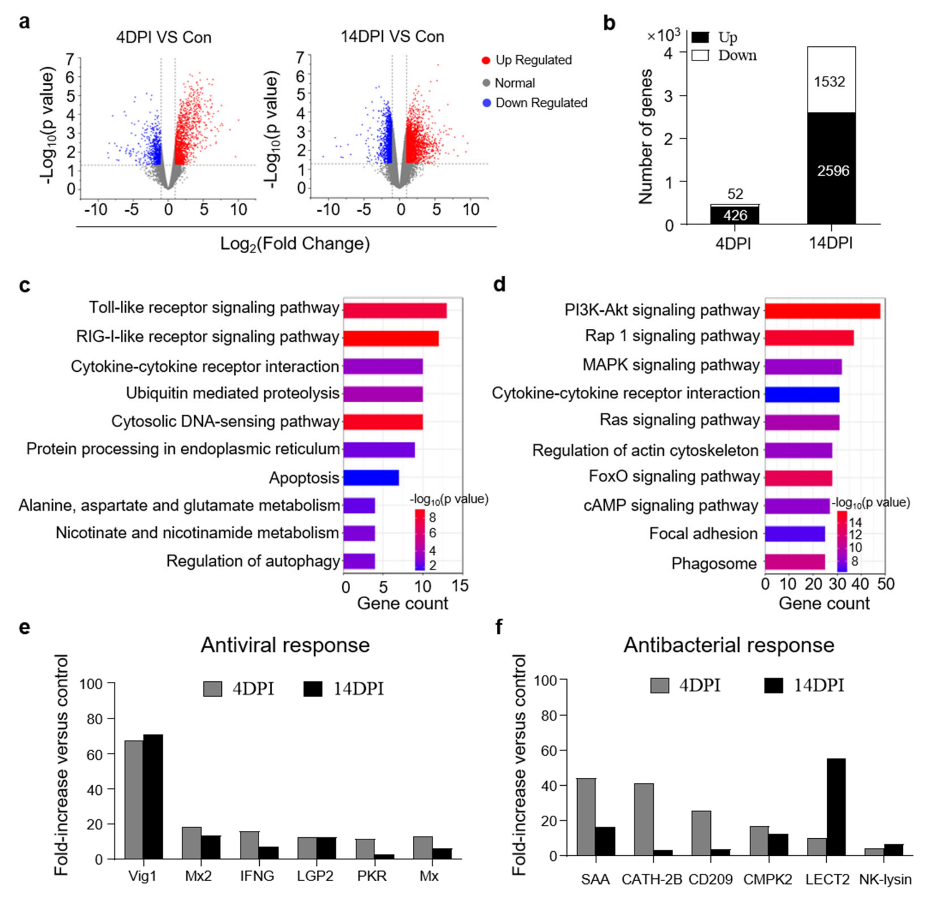Viruses 14 01838 g003